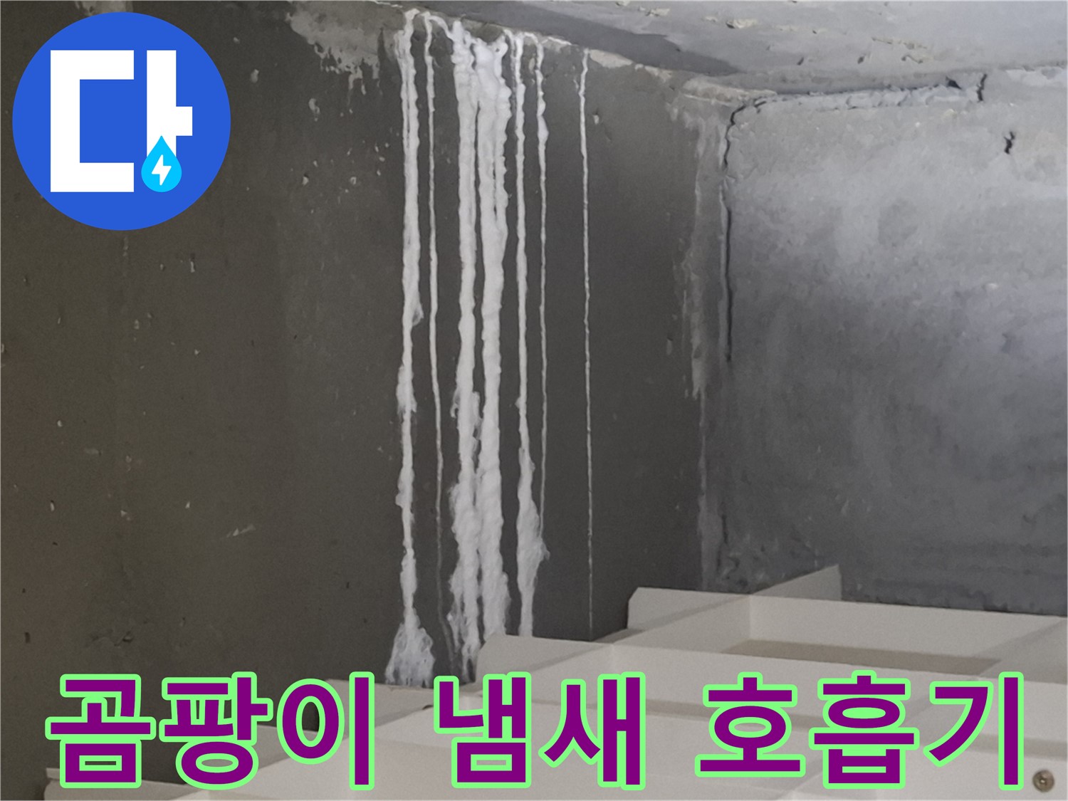 분당구 삼평동 봇들마을 아파트 누수 - 계단 '하얀 곰팡이' 누수는 퀴퀴한 냄새를 유발하고 호흡기 질환을 일으킬 수 있습니다.