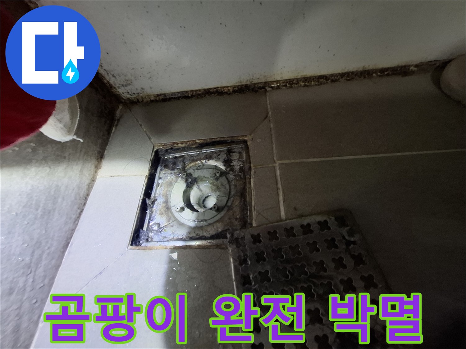 분당구 삼평동 봇들마을2단지 - 곰팡이 완전 박멸, 재발 걱정 없는 시공
