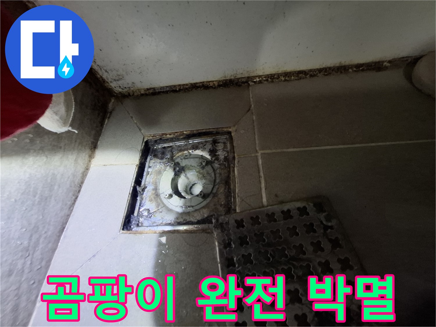 분당구 삼평동 봇들마을2단지 - 곰팡이 완전 박멸, 재발 걱정 없는 시공