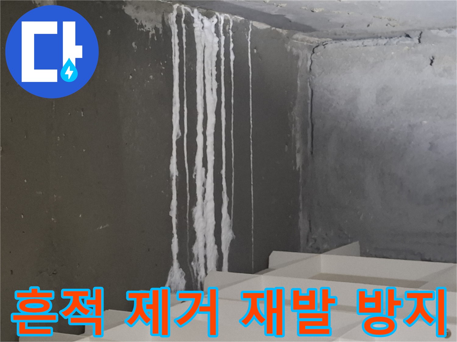 삼평동 봇들마을 아파트 누수 - 계단 누수를 '흔적 제거' 및 재발 방지 시공 후 고객님의 감동적인 후기를 담은 이미지.