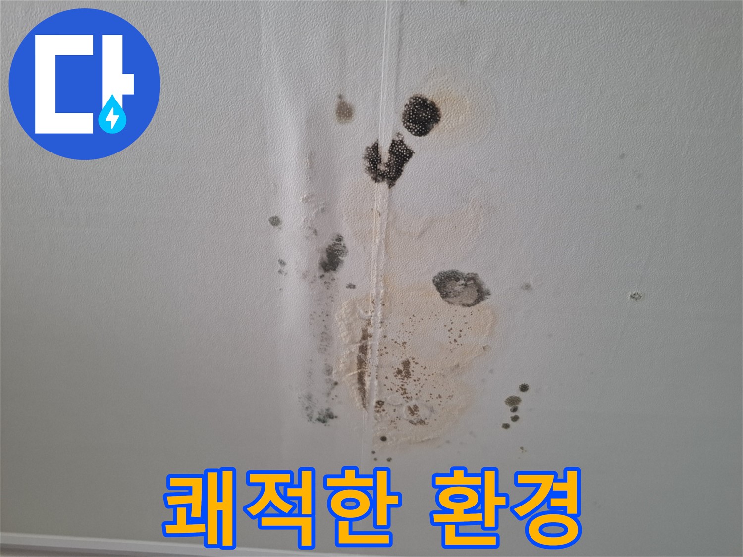 성남 누수 - 곰팡이 문제 해결, 쾌적한 환경을 위한 최고의 선택