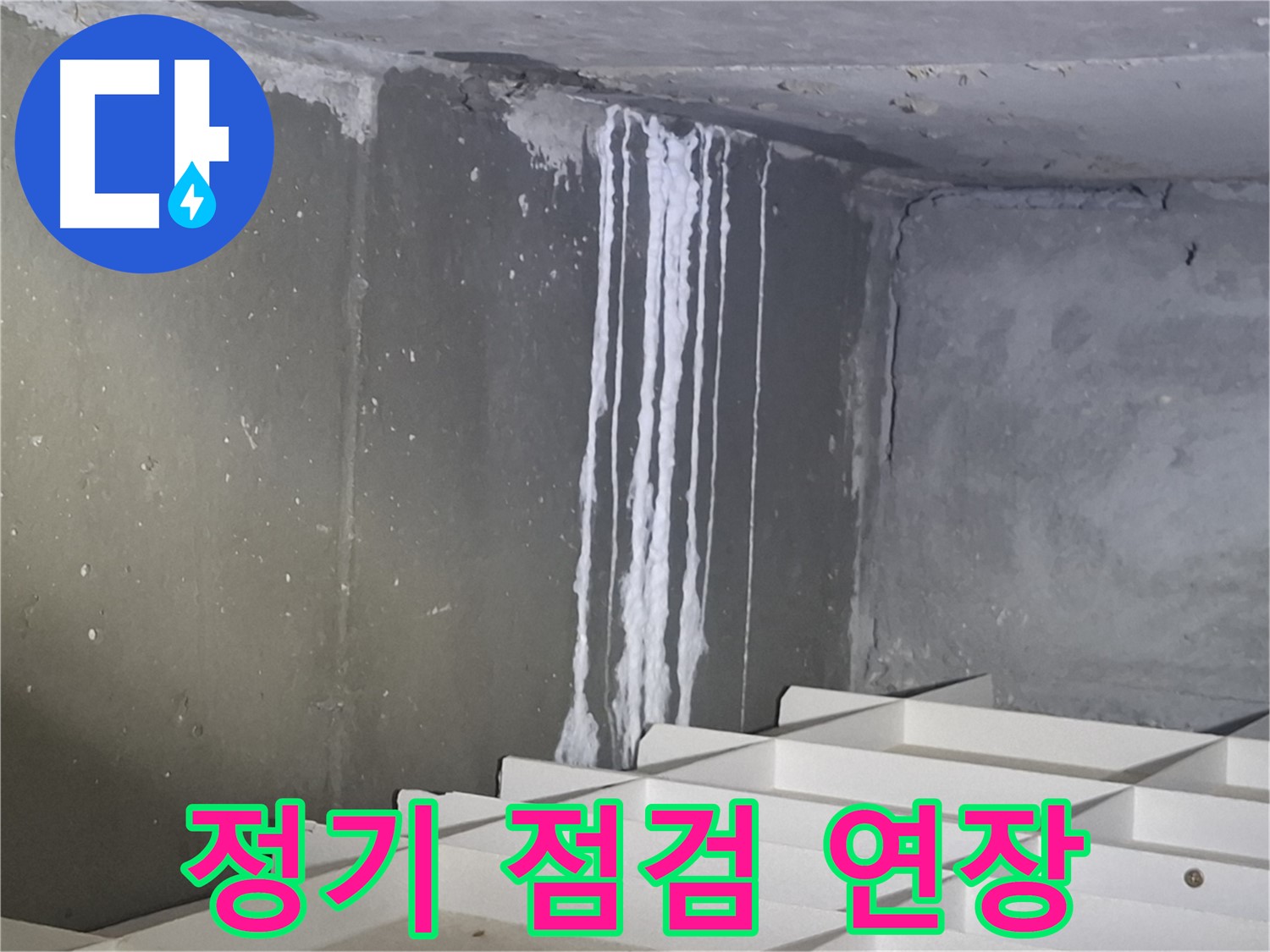성남 봇들마을2단지 아파트 누수 - 정기적인 점검으로 건물 수명 연장