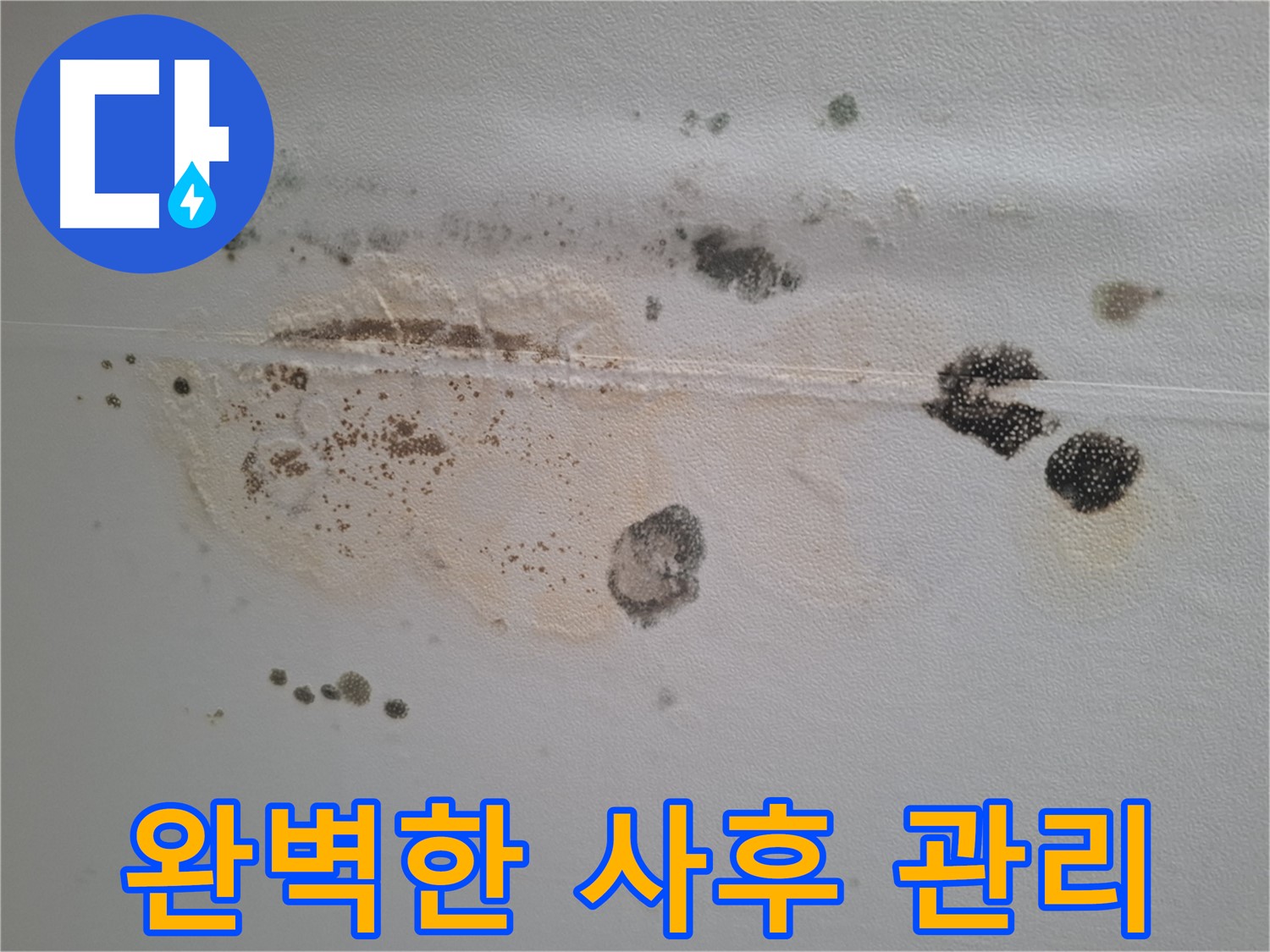 성남 분당 누수 - 봇들마을 천장 곰팡이 제거 후 완벽한 사후 관리 제공
