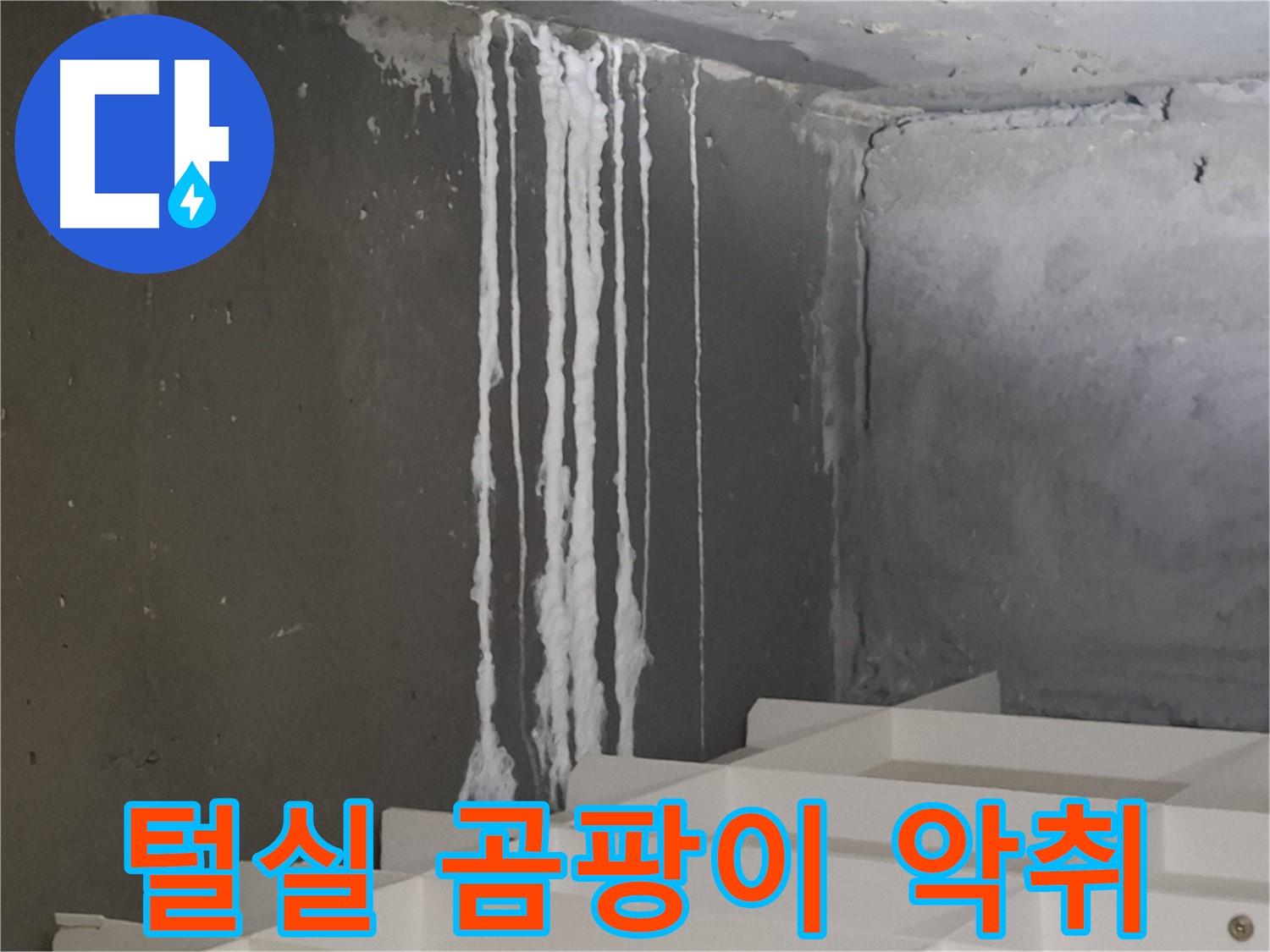 성남 분당 봇들마을 아파트 누수 - 계단 '하얀 털실' 누수는 곰팡이와 악취 '콤보'를 유발하고 건강에 '적색경보'를 울립니다.
