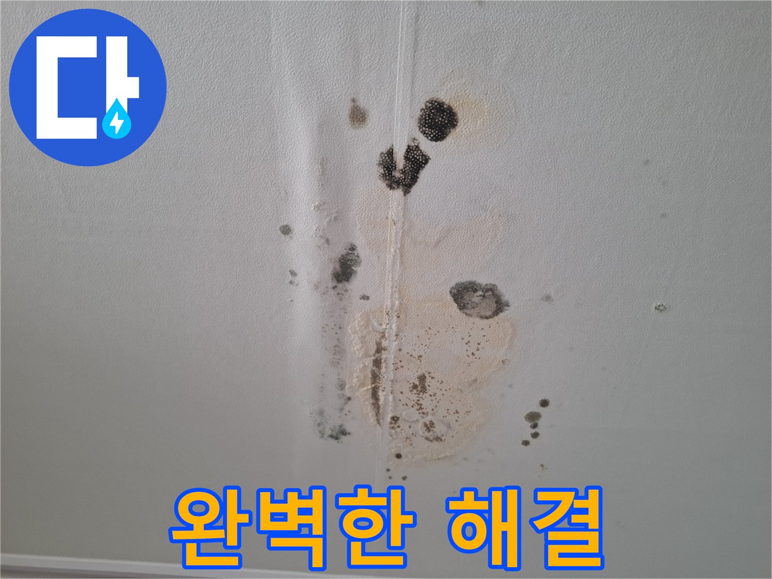 성남 분당 삼평동 누수 - 곰팡이 문제 완벽 해결!