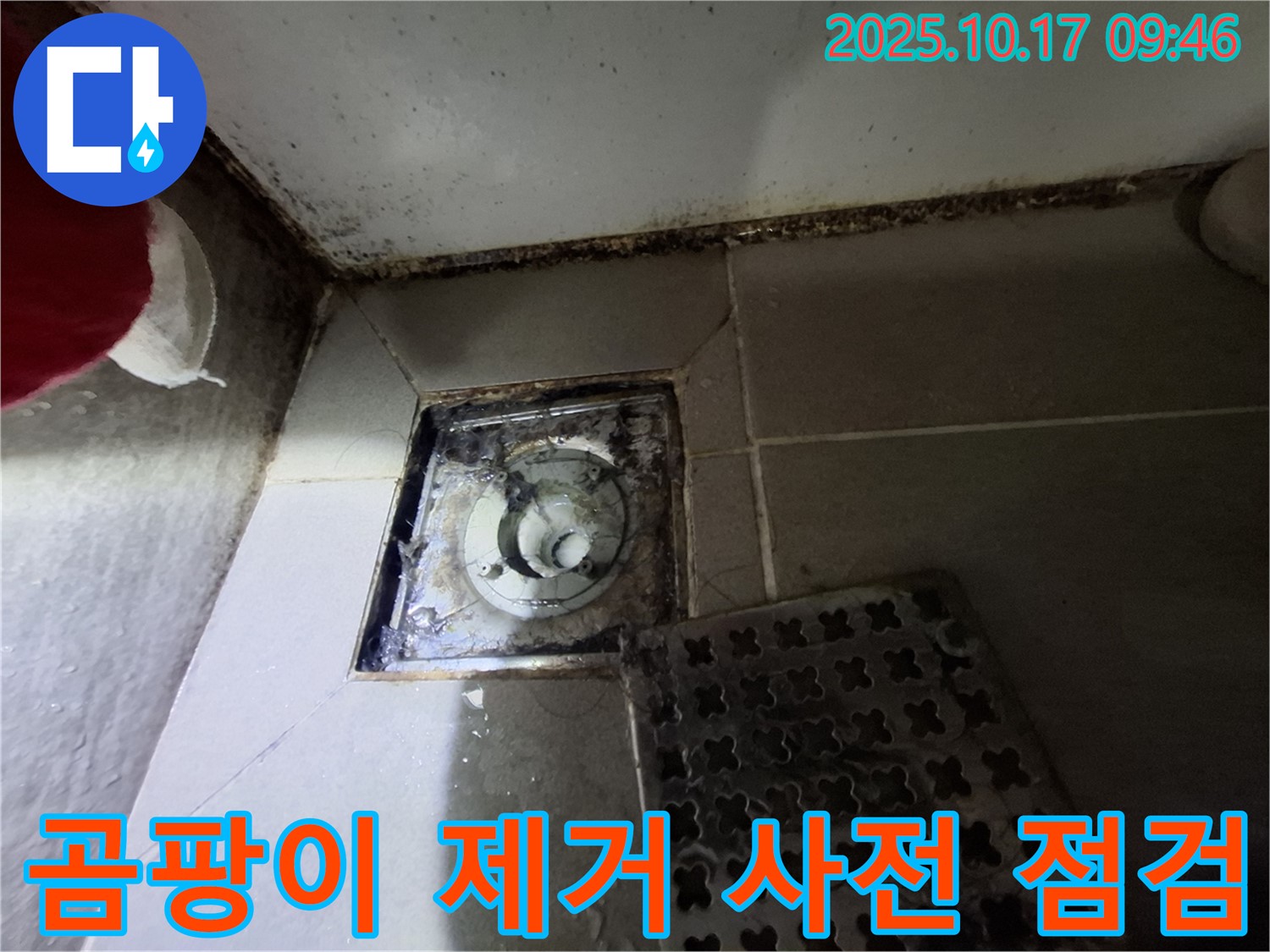 성남 분당구 삼평동 봇들마을 아파트 욕실 배수구 - 곰팡이 제거 및 누수 사전 점검 - 쾌적한 욕실 환경을 위한 첫걸음.