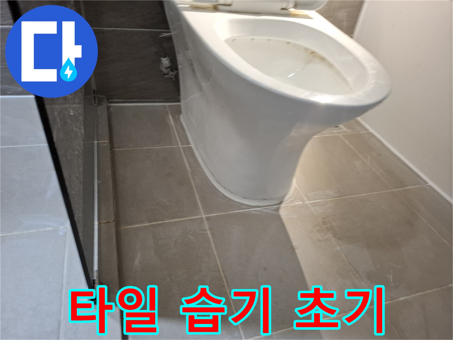 성남 삼평동 717번지 - 변기 옆 타일 습기 - 누수 초기 증상일까?
