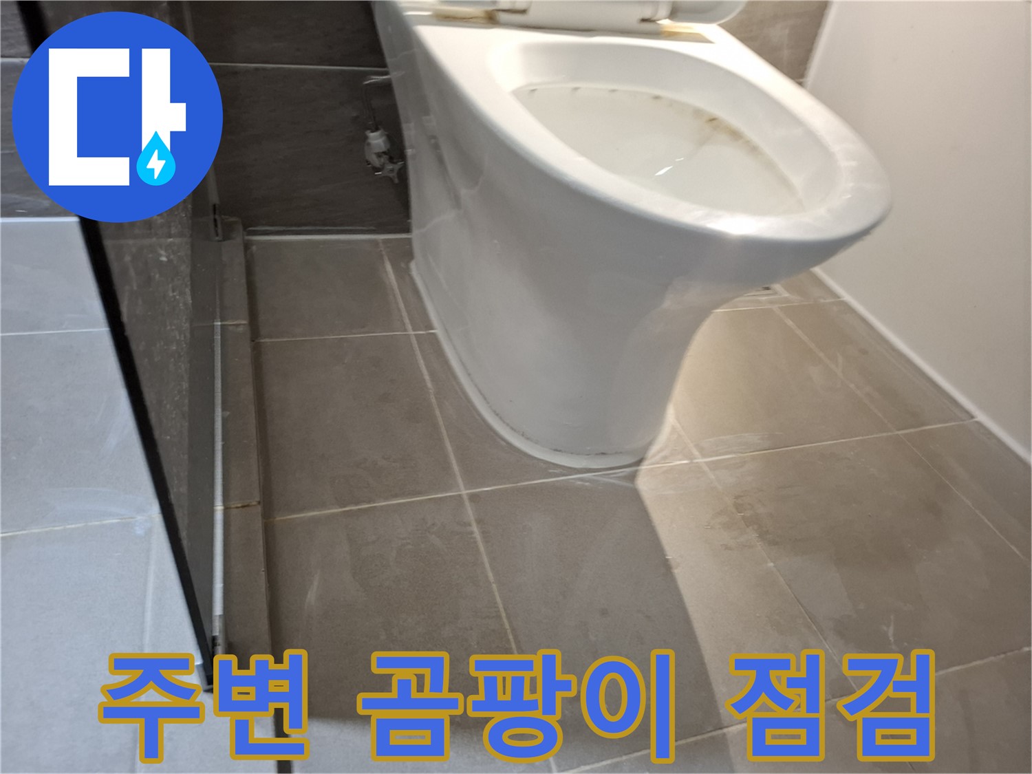 성남 삼평동 717번지 - 변기 주변 곰팡이, 누수 의심 점검
