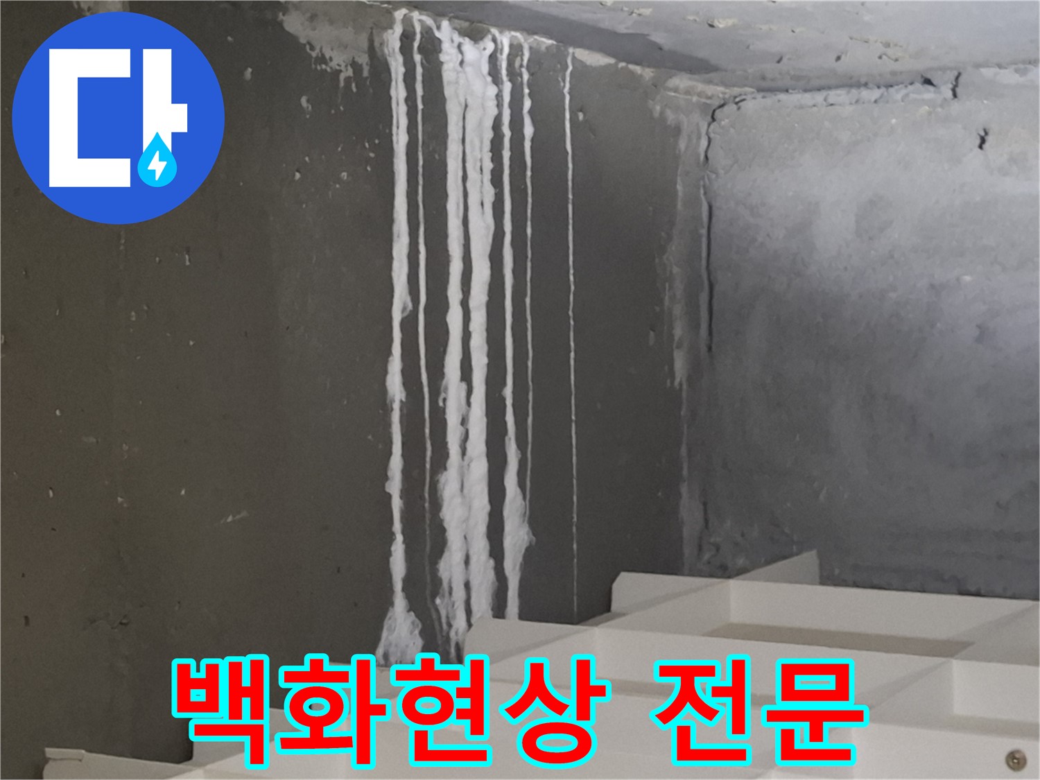 성남시 분당구 봇들마을 아파트 누수 - 백화현상 해결 전문! 누수 문제, 더 이상 고민하지 마세요.