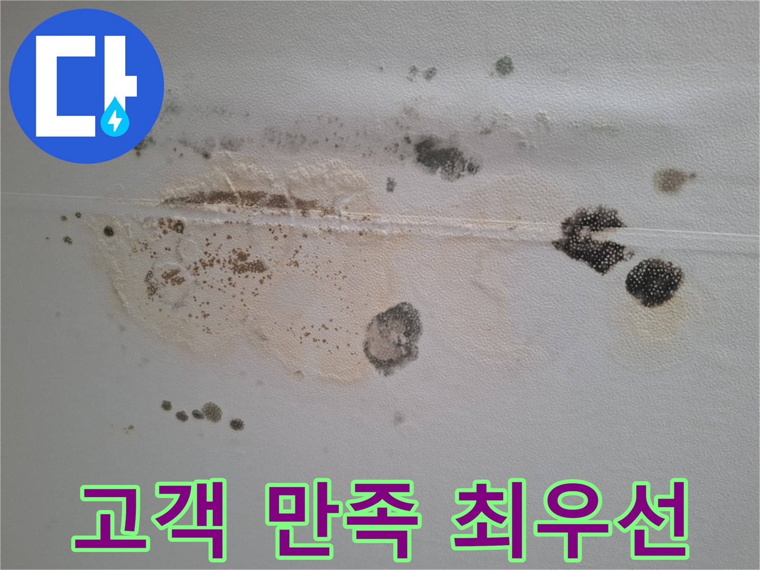 성남시 분당구 삼평동 누수 - 곰팡이 핀 천장, 고객 만족을 최우선 가치로 생각합니다