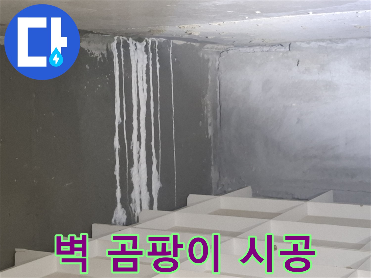 성남시 분당구 삼평동 누수 - 벽에 맺힌 하얀 곰팡이 누수 문제, 확실한 해결을 보장하는 전문 업체
