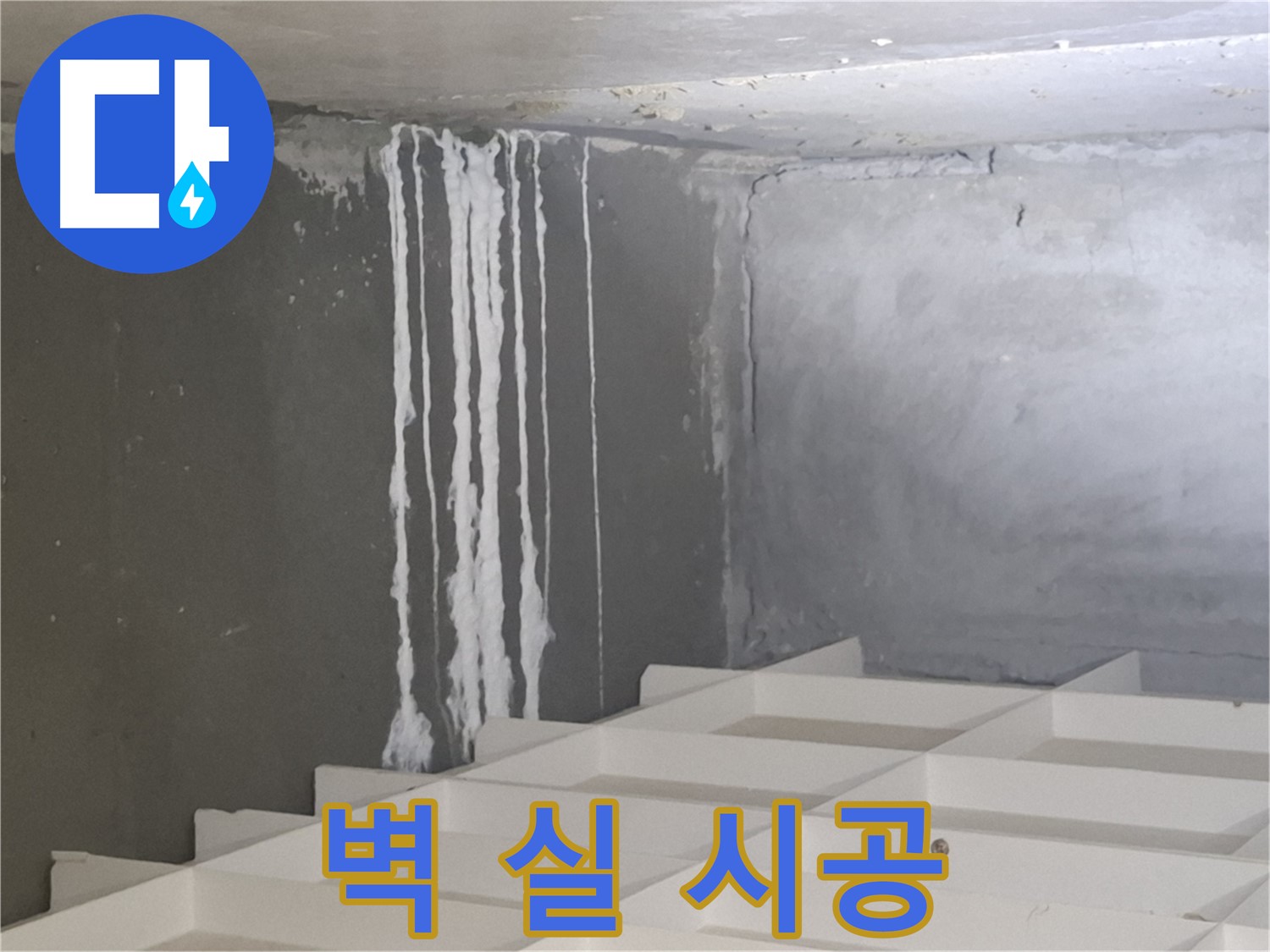 성남시 분당구 삼평동 누수 - 벽에 하얀 실 누수 문제, 확실한 해결을 보장하는 전문 업체