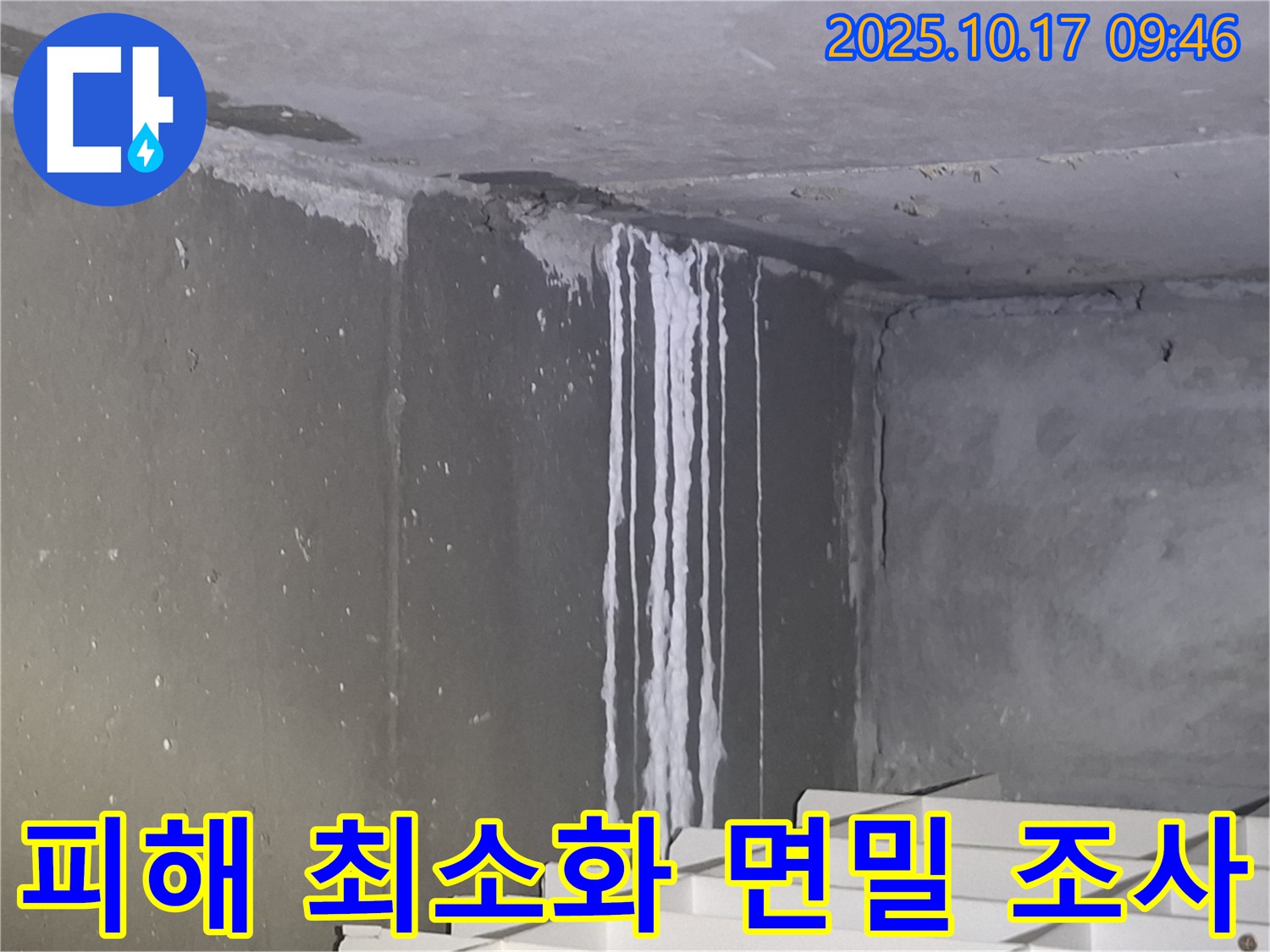 성남시 분당구 삼평동 봇들마을2단지 아파트 계단실 벽면에서 석회수 누수 피해 최소화를 위한 면밀 조사를 진행하고 있습니다 - 꼼꼼한 조사는 추가 피해를 막고 정확한 보수 계획을 세우는 데 중요합니다.