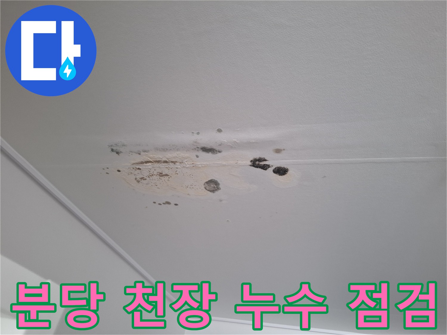 습기 찬 천장과 곰팡이 - 아랫집 누수 피해로 긴급 점검 및 정밀 진단 필요