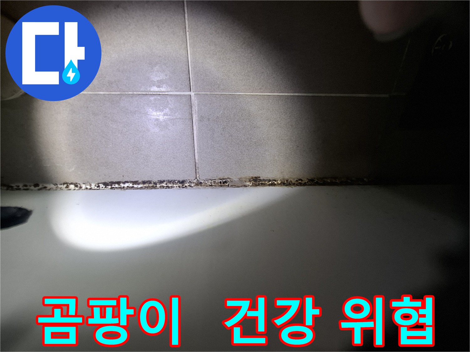 욕조 곰팡이 - 건강에 해로운 곰팡이, 빠른 제거 필수!
