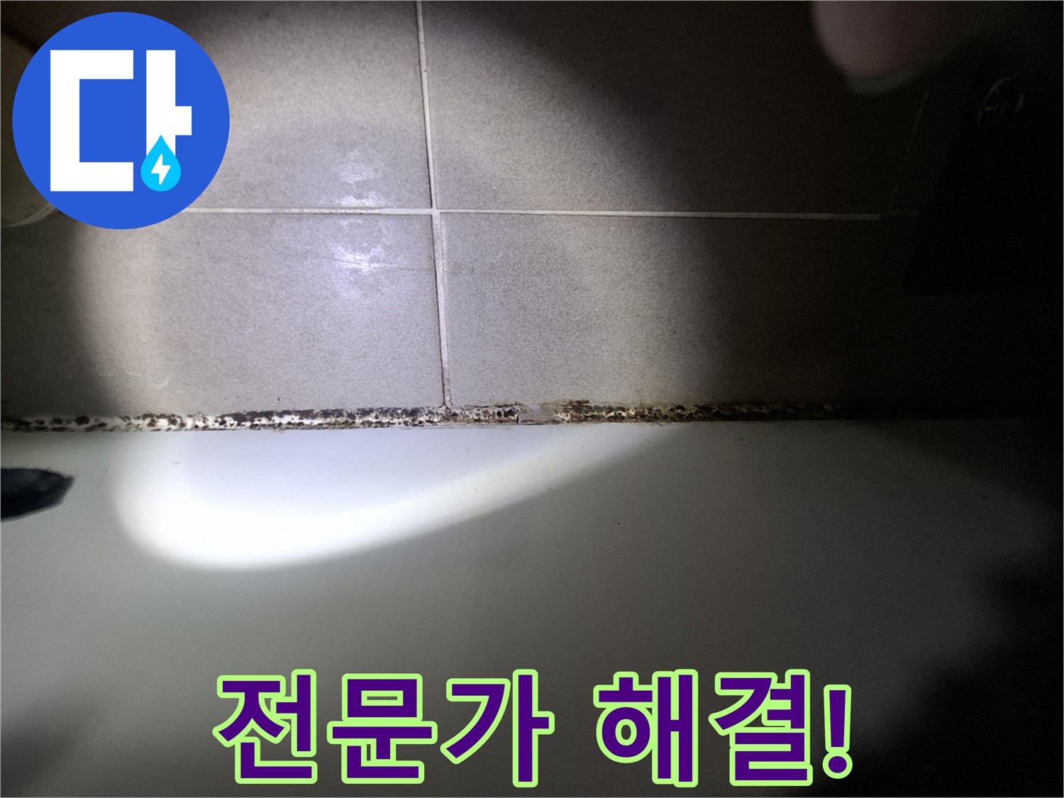 욕조 곰팡이 - 곰팡이 고민 해결, 전문가의 손길로!