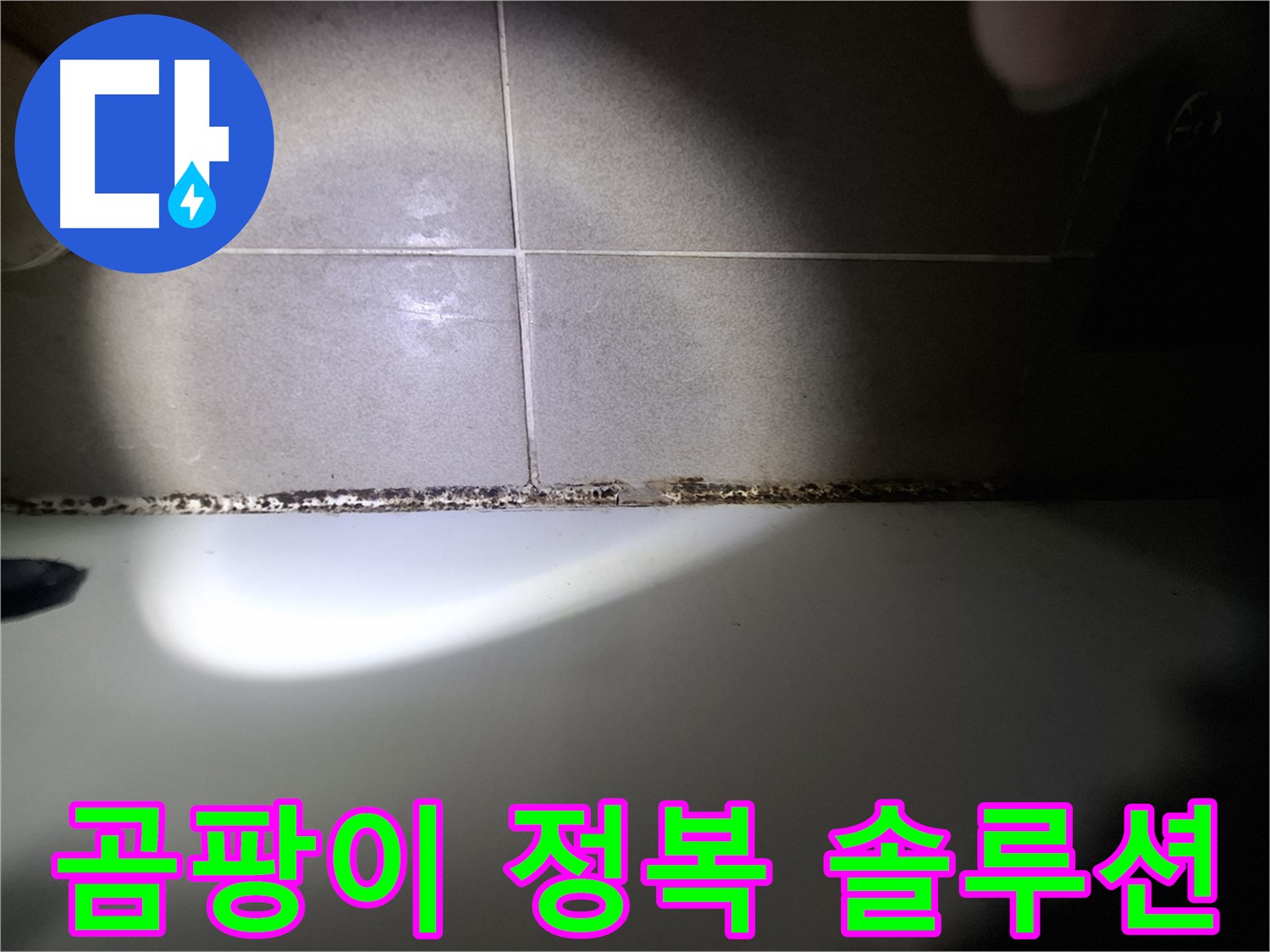욕조 곰팡이 - 곰팡이 완전 정복을 위한 맞춤 솔루션 제공