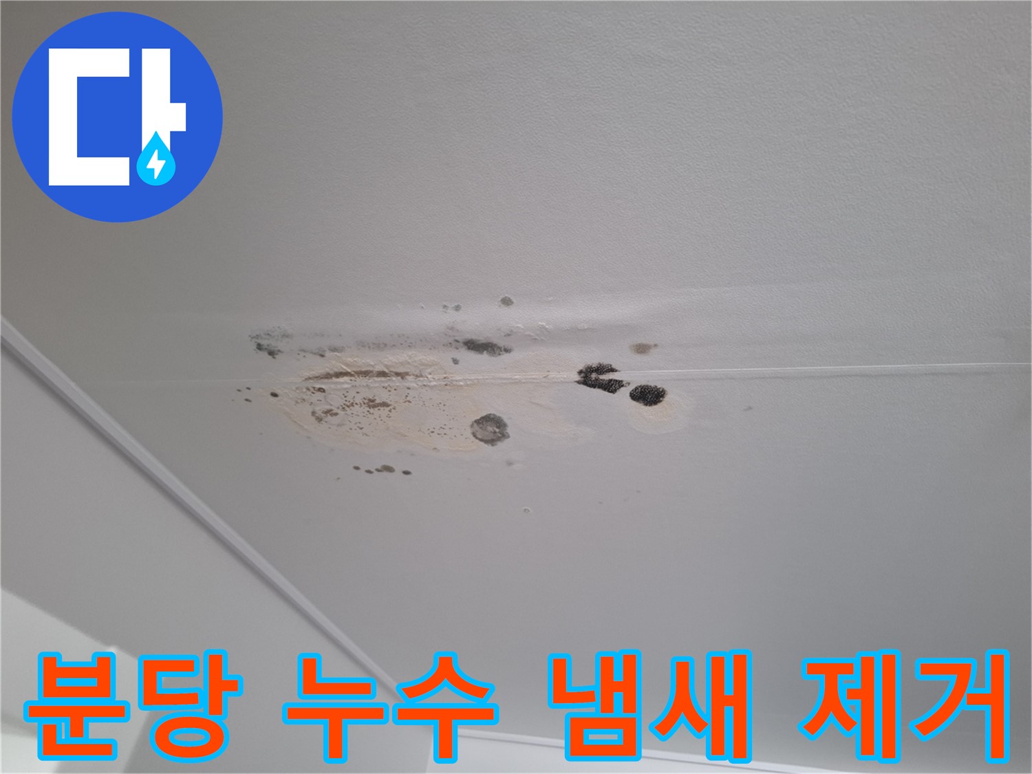 천장 누수 - 곰팡이 냄새 제거, 건강하게