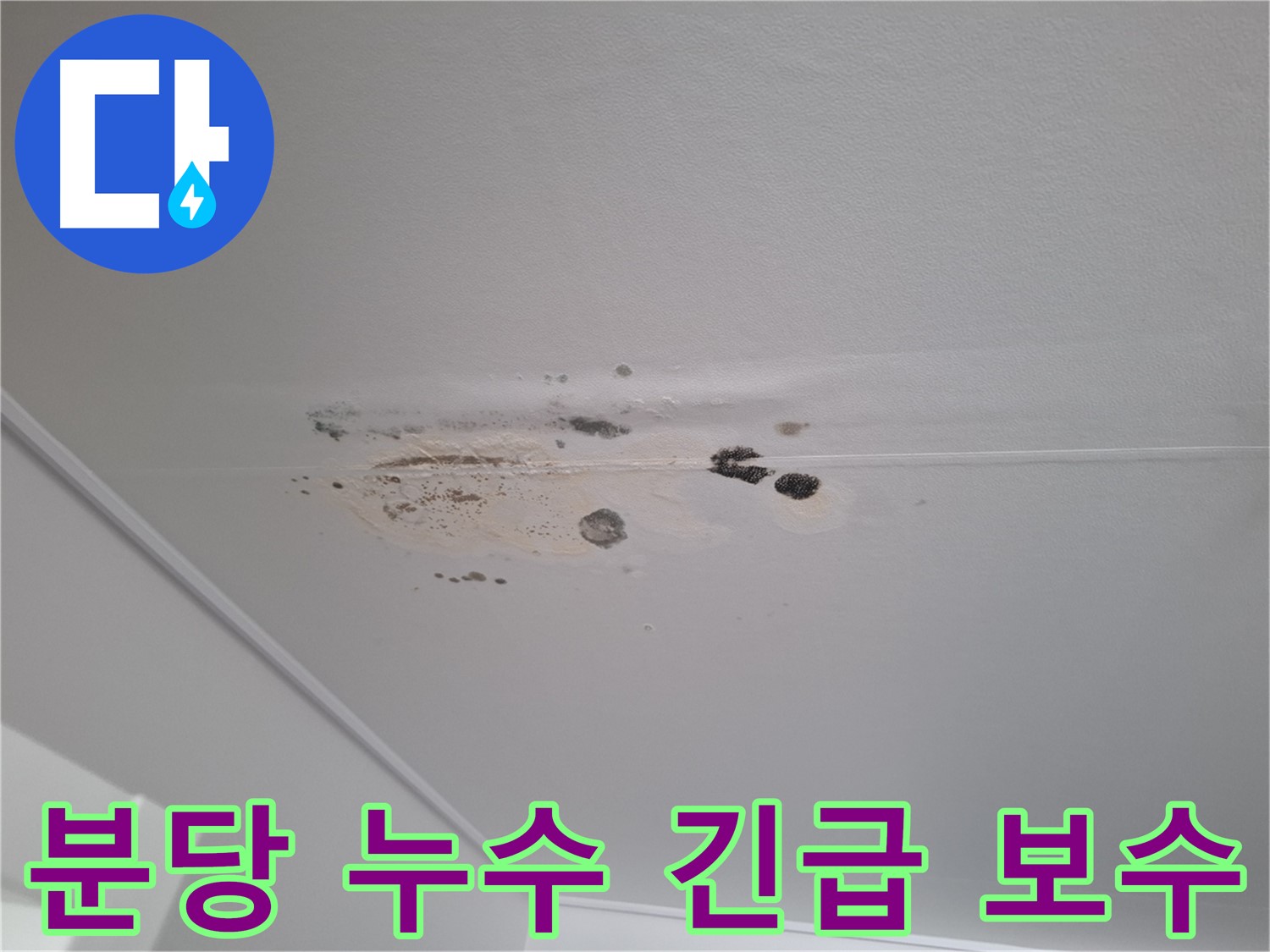 천장 누수 - 긴급 보수 및 곰팡이 제거로 쾌적하게