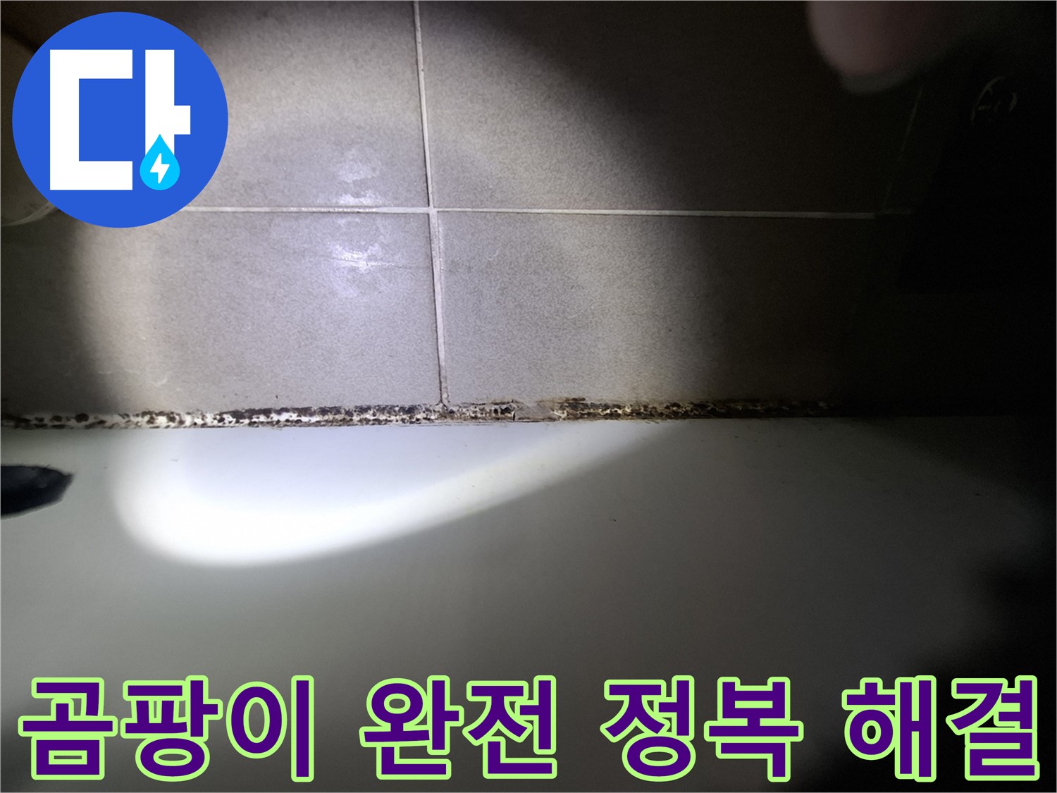 욕조 곰팡이 - 곰팡이 완전 정복을 위한 맞춤 솔루션 제공