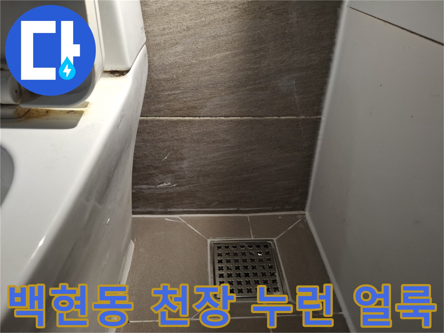 판교 백현동 천장 누런 얼룩 - 윗집 누수 의심
