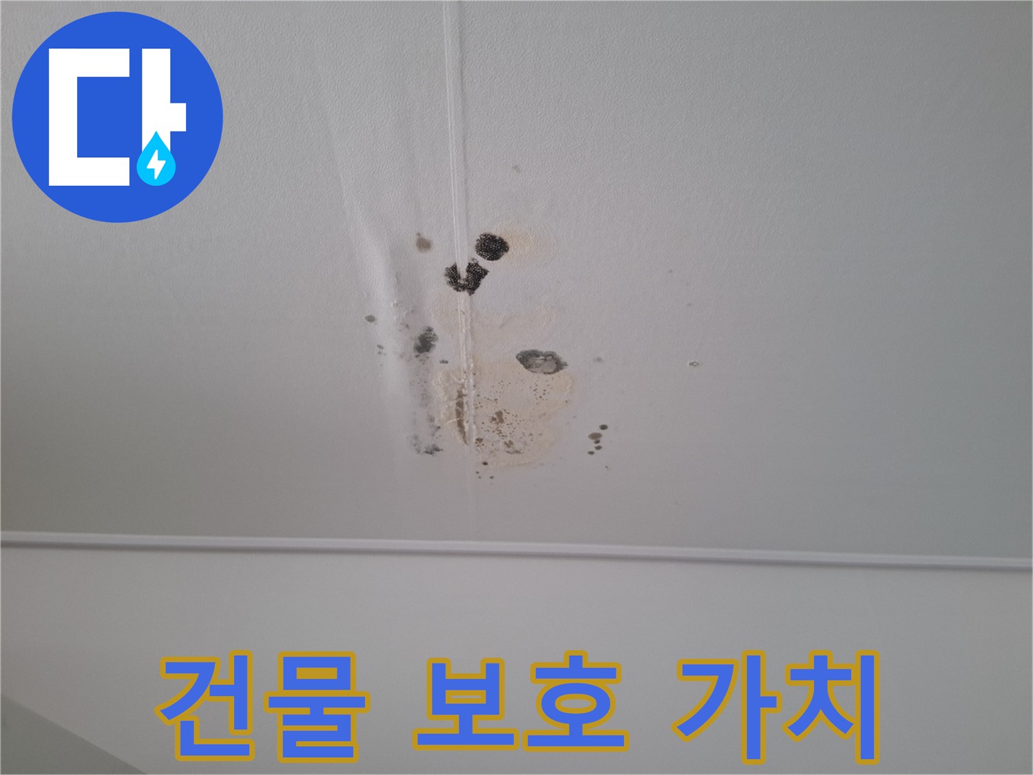판교 봇들마을 2단지 아파트 - 누수를 방치하면 건물 가치가 하락할 수 있으므로 - 조기 진단으로 건물을 보호하고 가치를 높이세요.