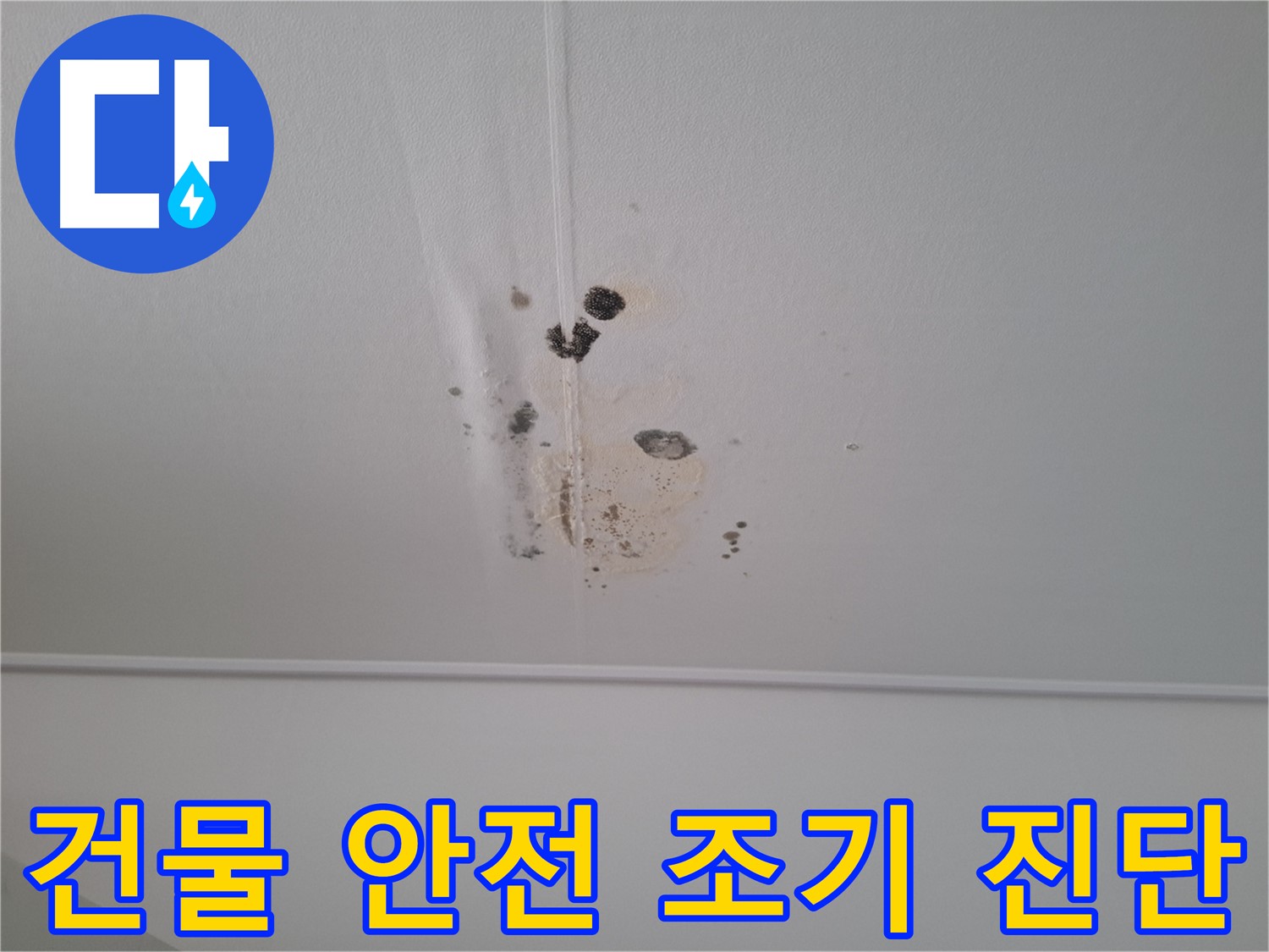 판교 봇들마을 2단지 아파트 - 누수를 방치하면 건물 안전에 심각한 문제가 발생할 수 있으므로 - 조기 진단이 필요합니다.