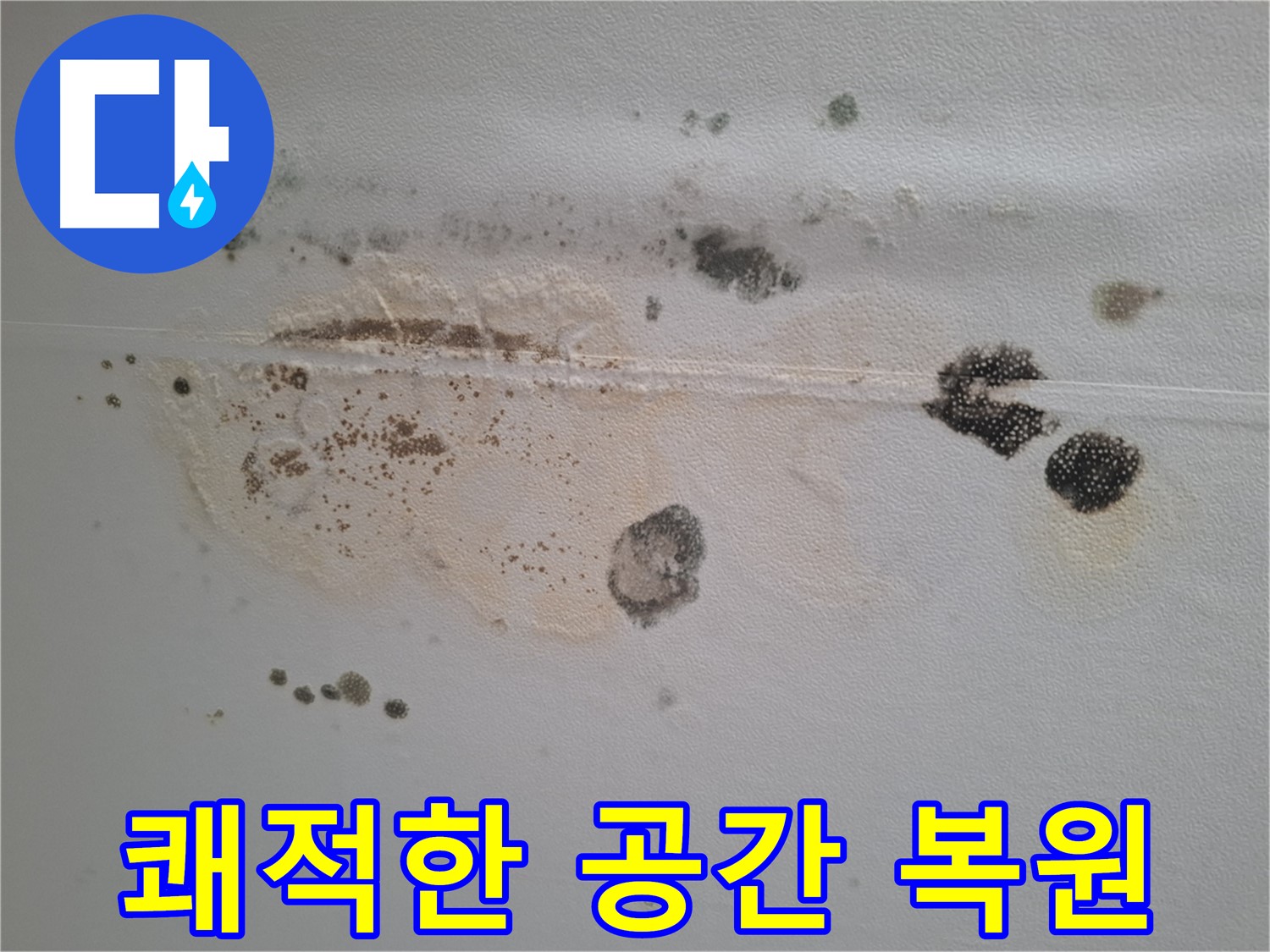 판교 봇들마을 누수 - 천장 곰팡이 제거 후 쾌적한 공간으로 완벽 복원