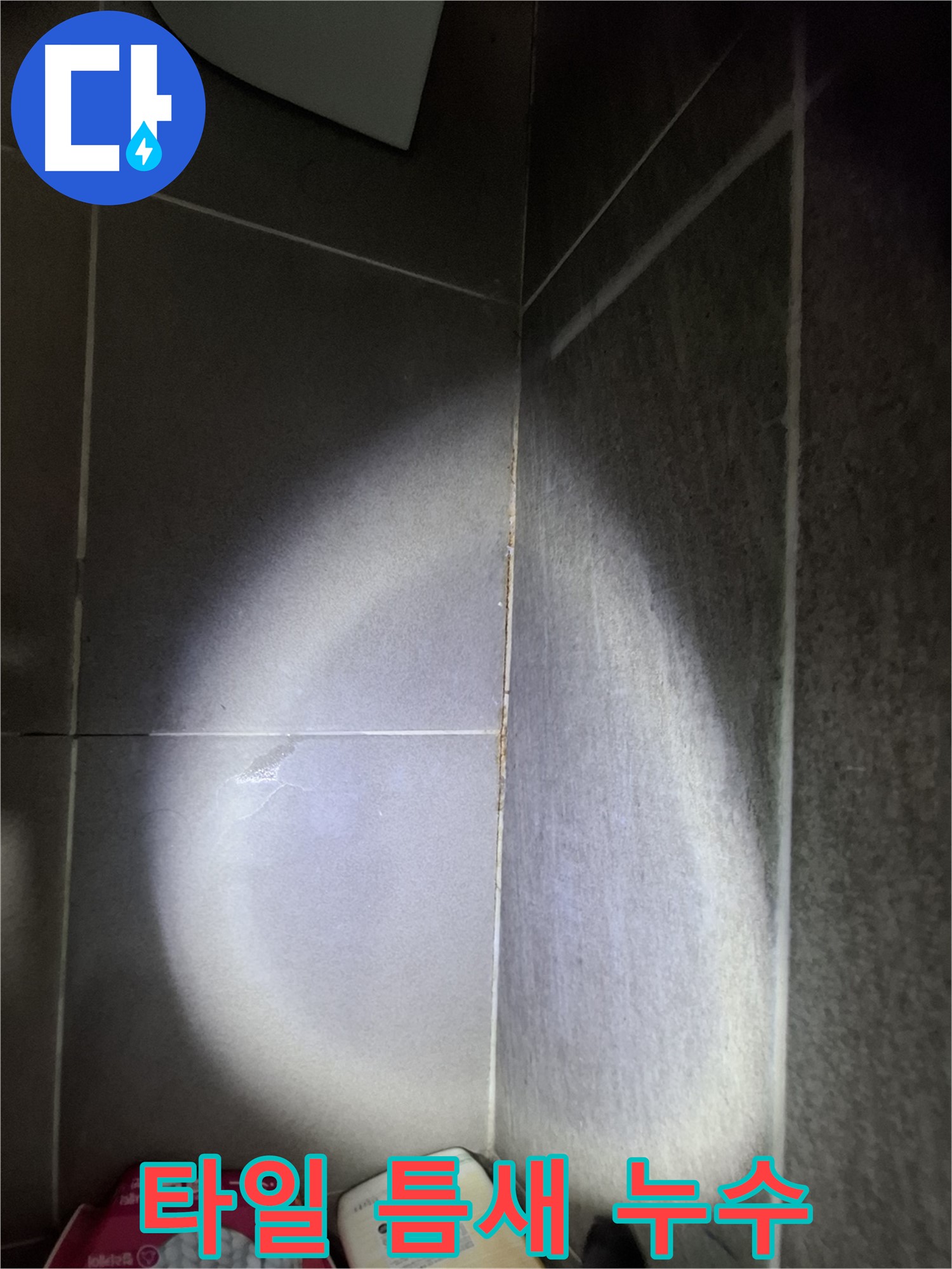 판교 봇들마을 아파트 욕실 타일 틈새 누수 - 누수 해결을 위한 꼼꼼한 점검