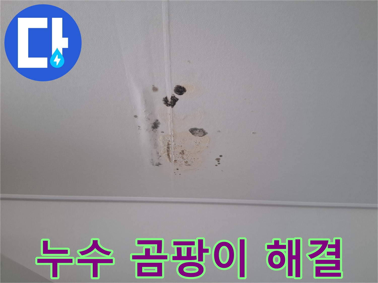 판교 봇들마을 아파트 천장 - 누수 흔적과 곰팡이를 긴급하게 해결해 드립니다.