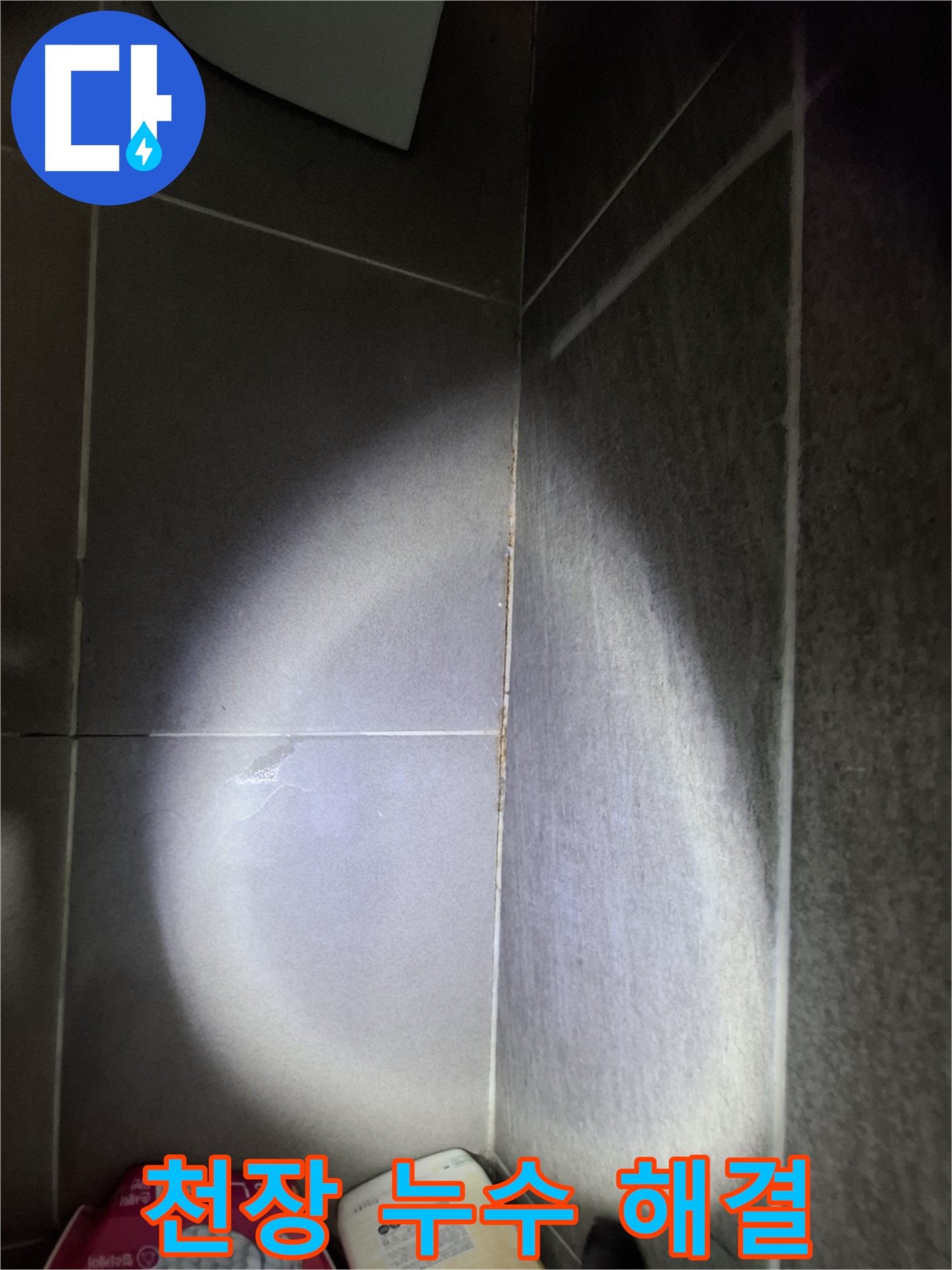 판교 봇들마을 욕실 타일 틈새 누수 - 천장 누수, 윗집 누수 원인 파악 및 해결