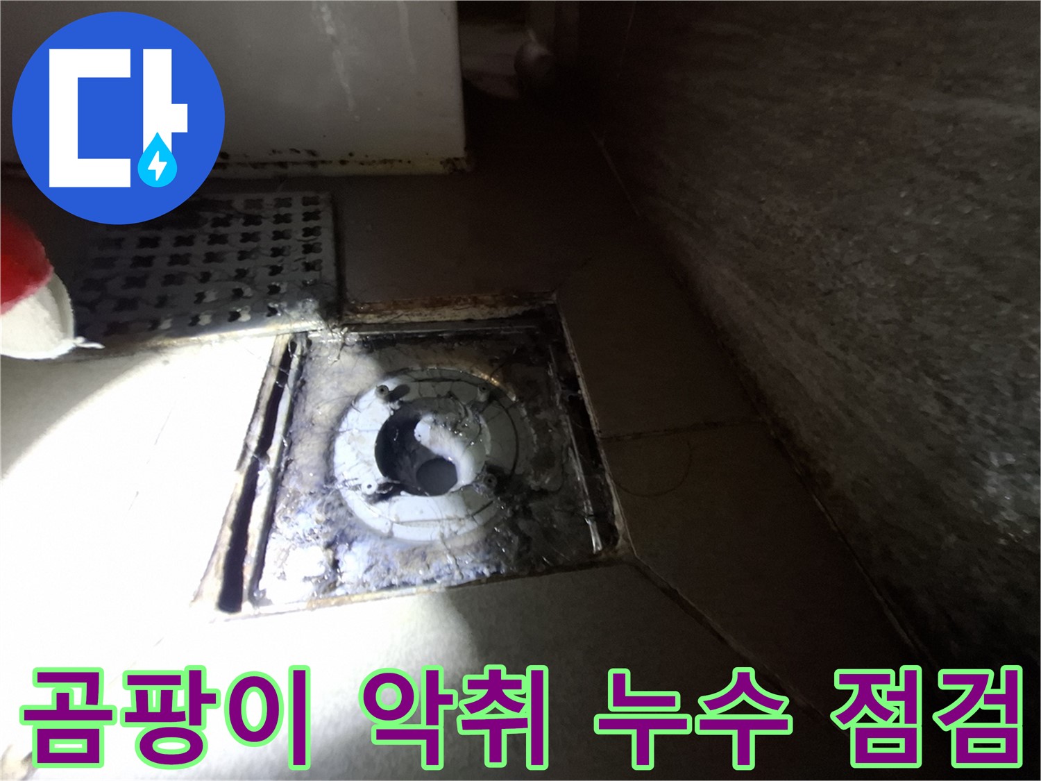 판교 봇들마을 욕실 하수구 주변 곰팡이 - 꼼꼼하게 점검하고 누수 해결