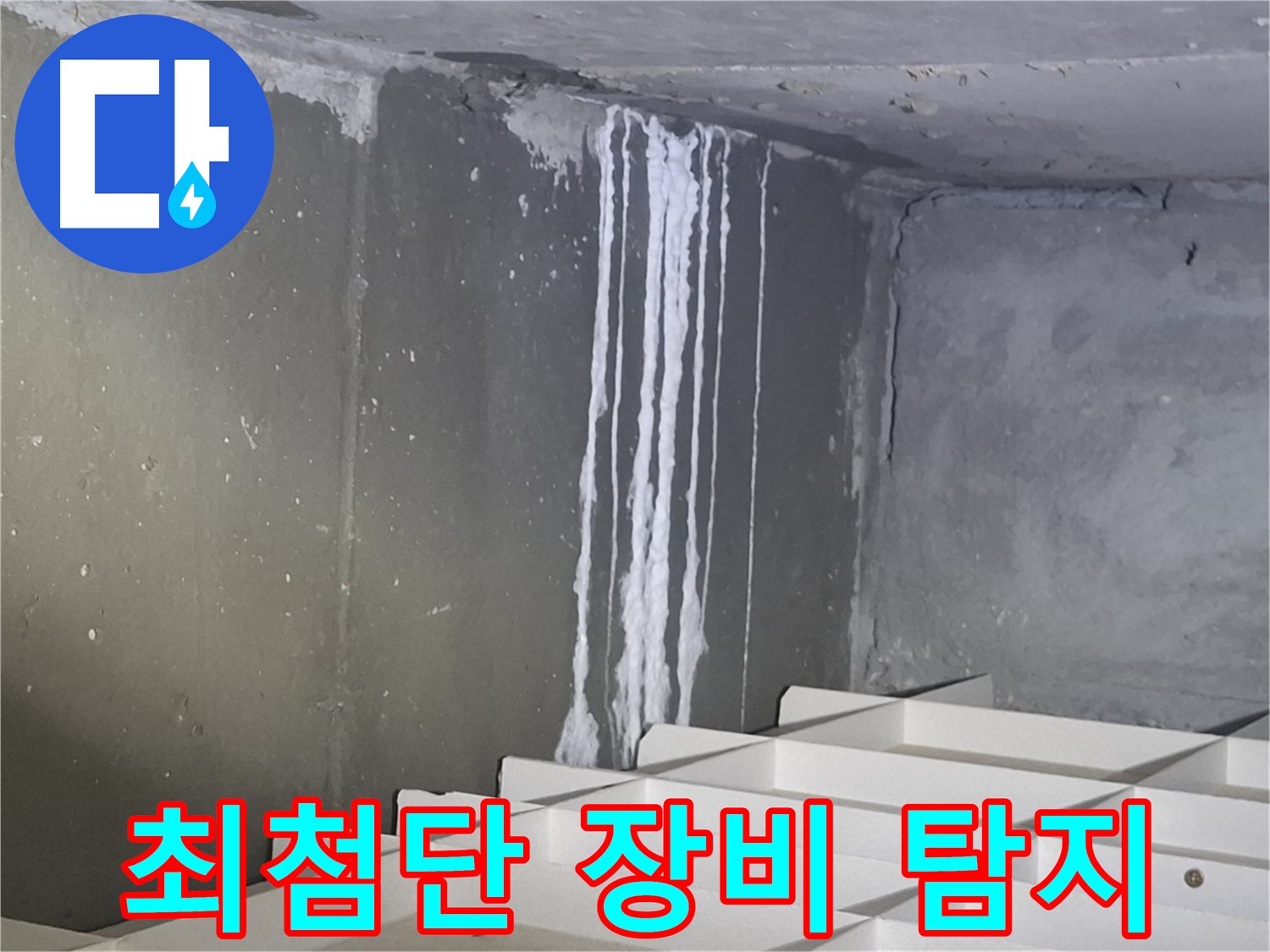 판교 봇들마을2단지 아파트 - 지하 누수, 최첨단 장비로 정확하게 탐지!