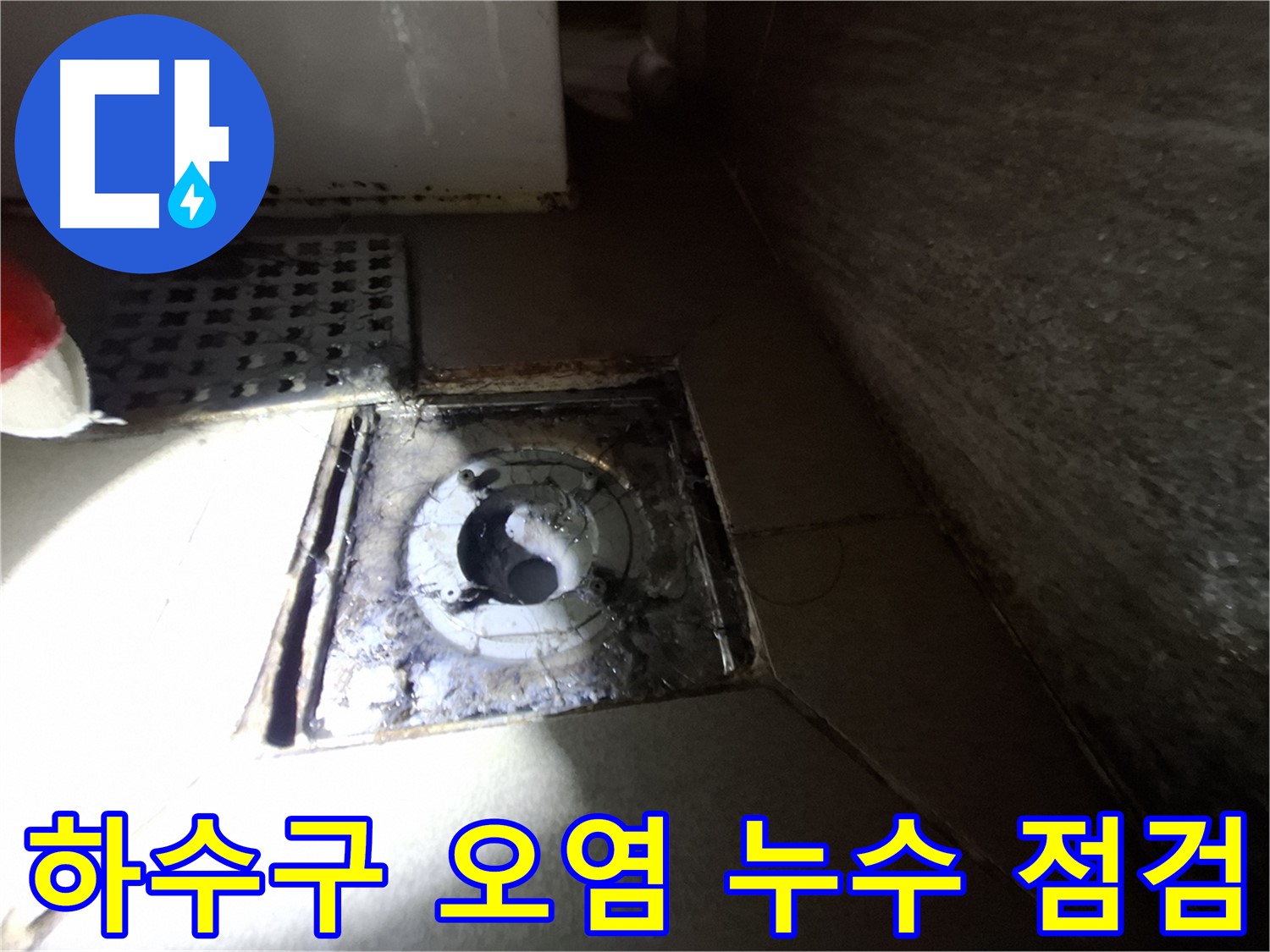 판교 삼평동 봇들마을 욕실 하수구 오염 - 꼼꼼한 점검으로 누수 원인 파악