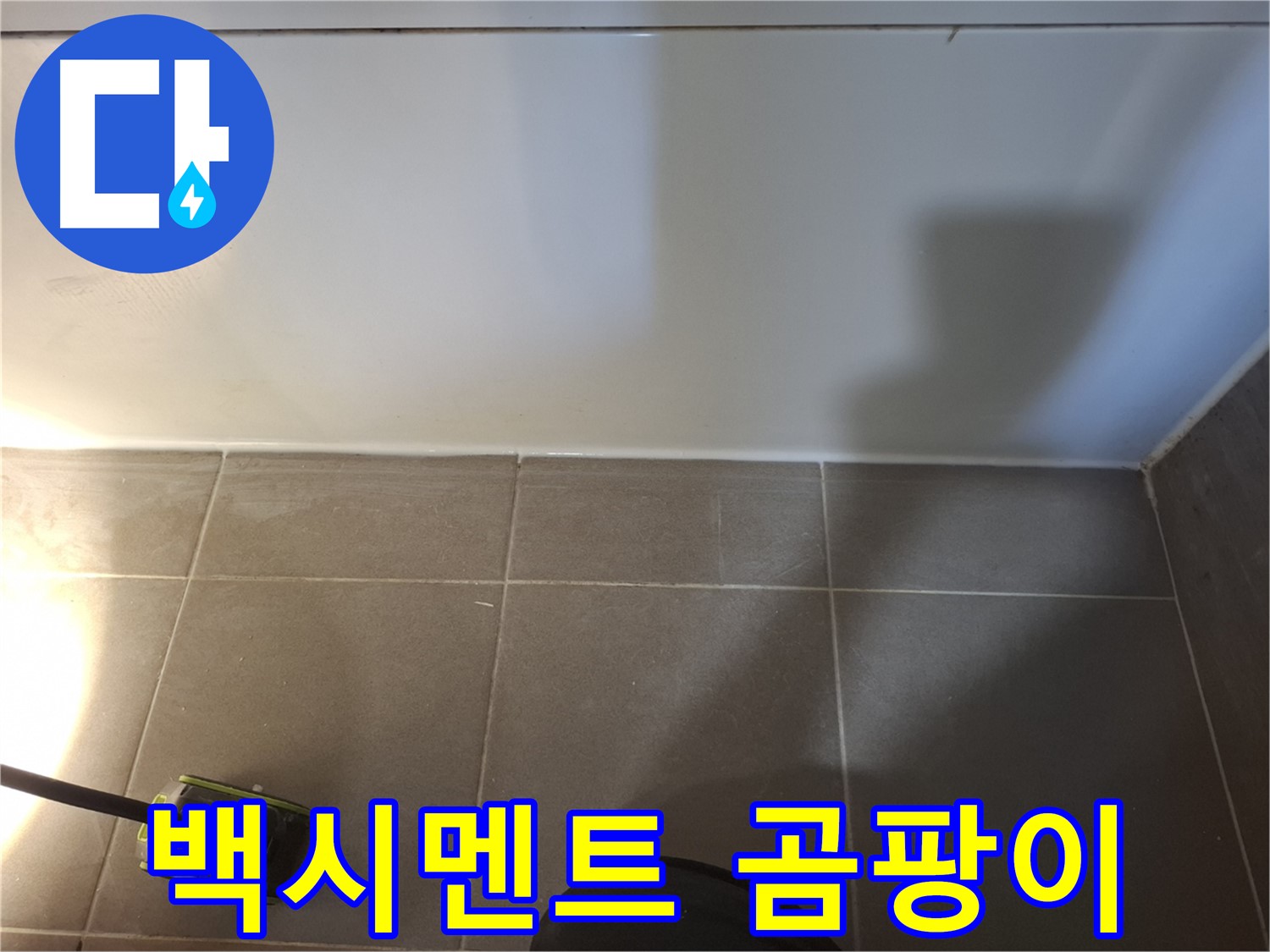 판교 삼평동 봇들마을2단지 이지더원 아파트 - 욕실 벽면 하단 타일 틈새 백시멘트 손상 및 곰팡이 상태 점검