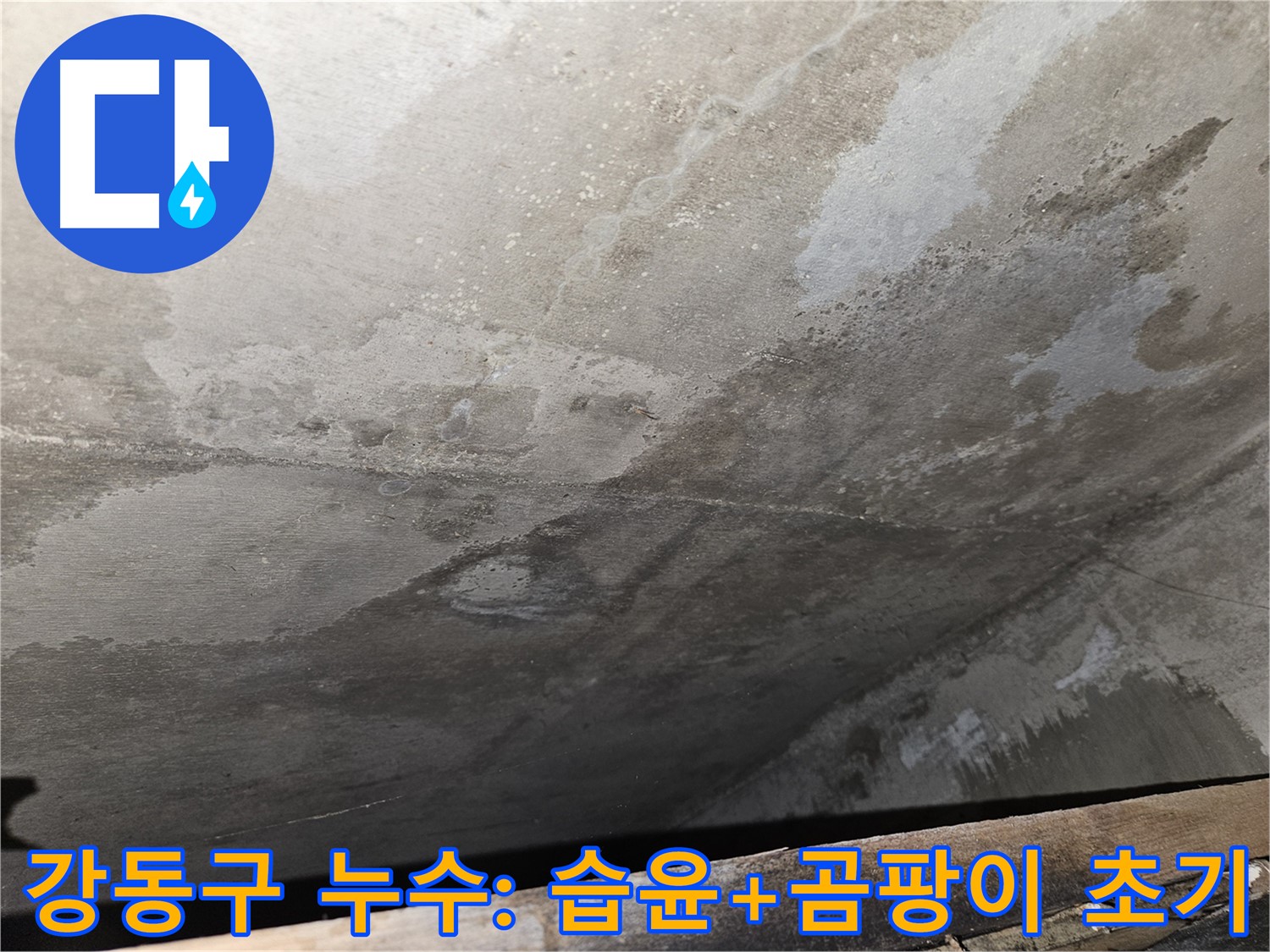 강동구 아파트 누수 - 습윤과 곰팡이 초기 발생은 건강 위협