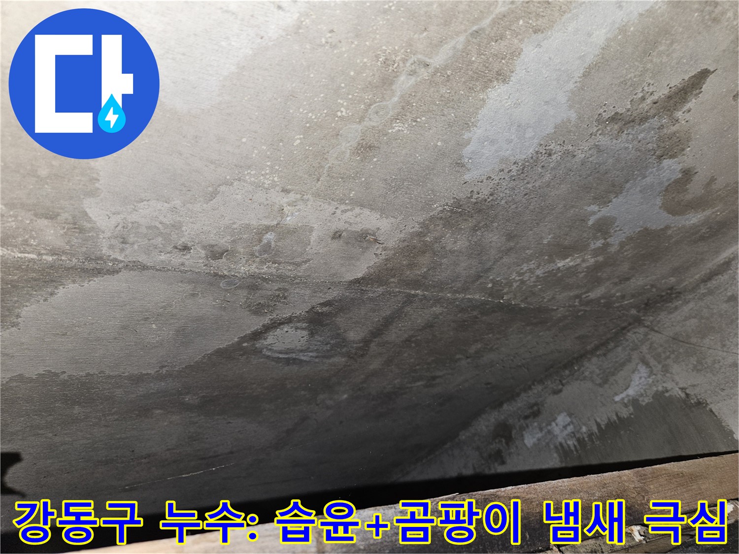 강동구 아파트 콘크리트 누수 - 습윤, 곰팡이 냄새 숨쉬기 어려울 정도는 누수 최악