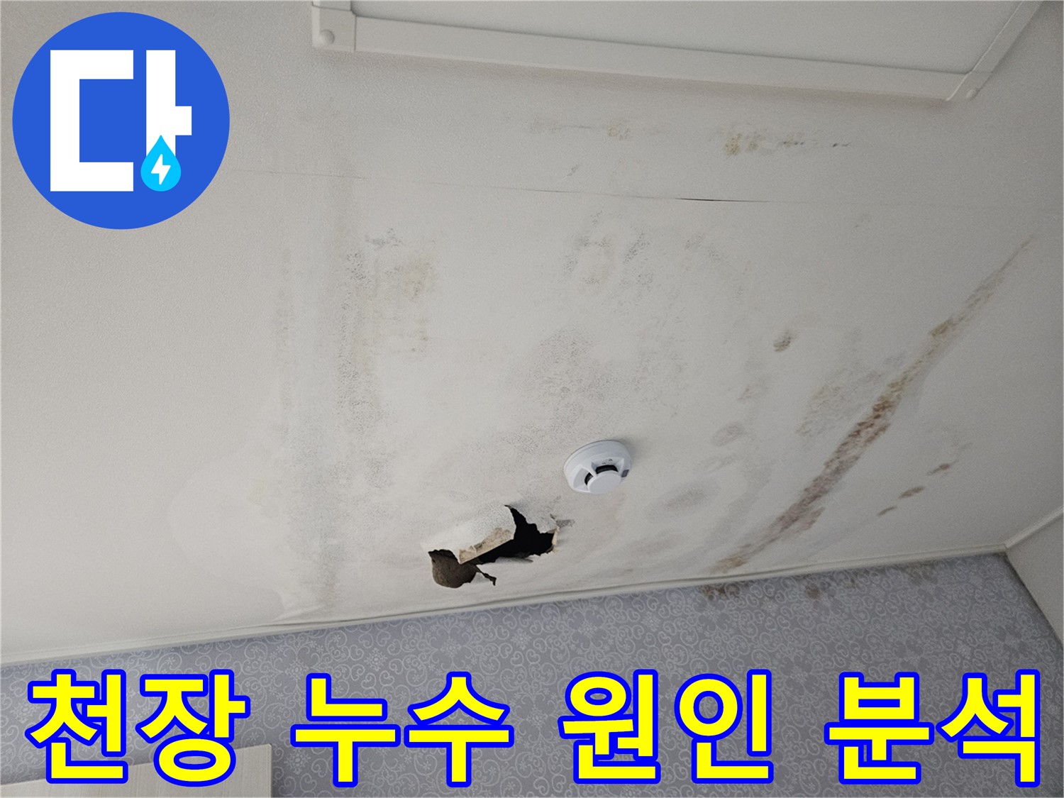 강동구 천중로 아파트 천장 누수 - 정확한 누수 원인 분석을 위해 첨단 장비를 사용하는 모습 - 숙련된 기술력이 필요합니다