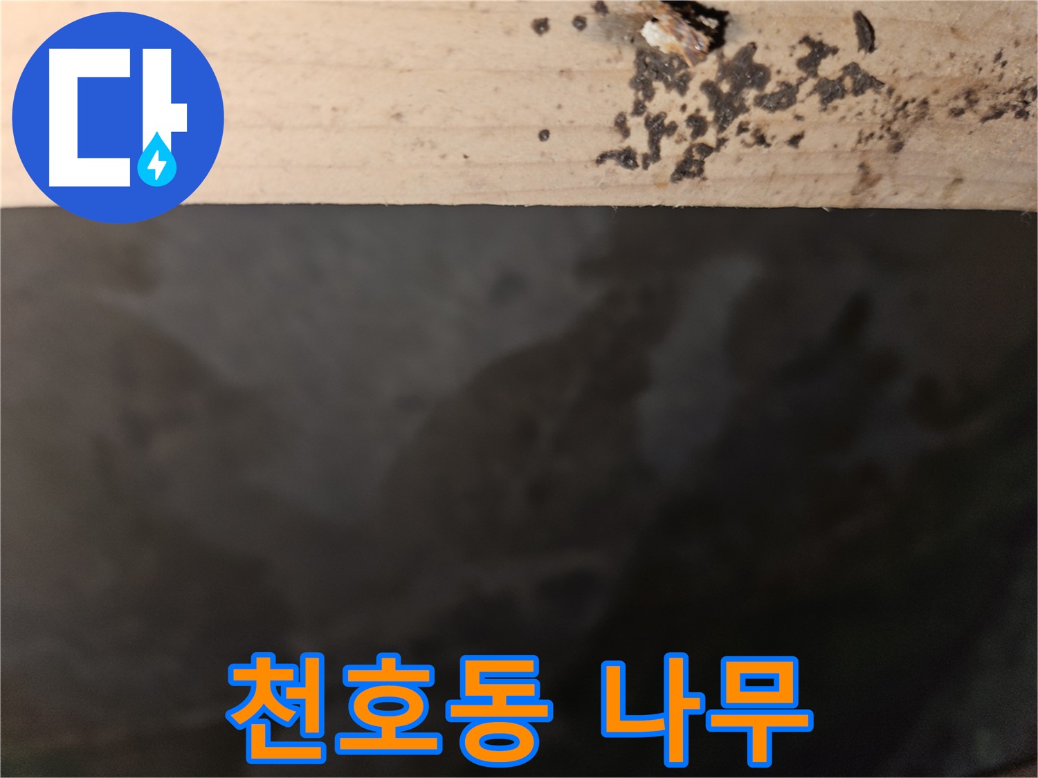 강동구 천호동 누수 - 나무 속 반점 해결 - 완벽 시공