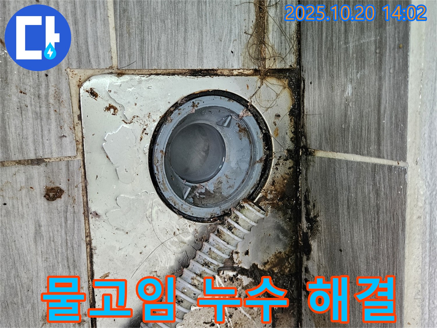 강동구 천호동 천중로16길 37 - 욕실 배수구 주변 물고임과 누수 문제 해결