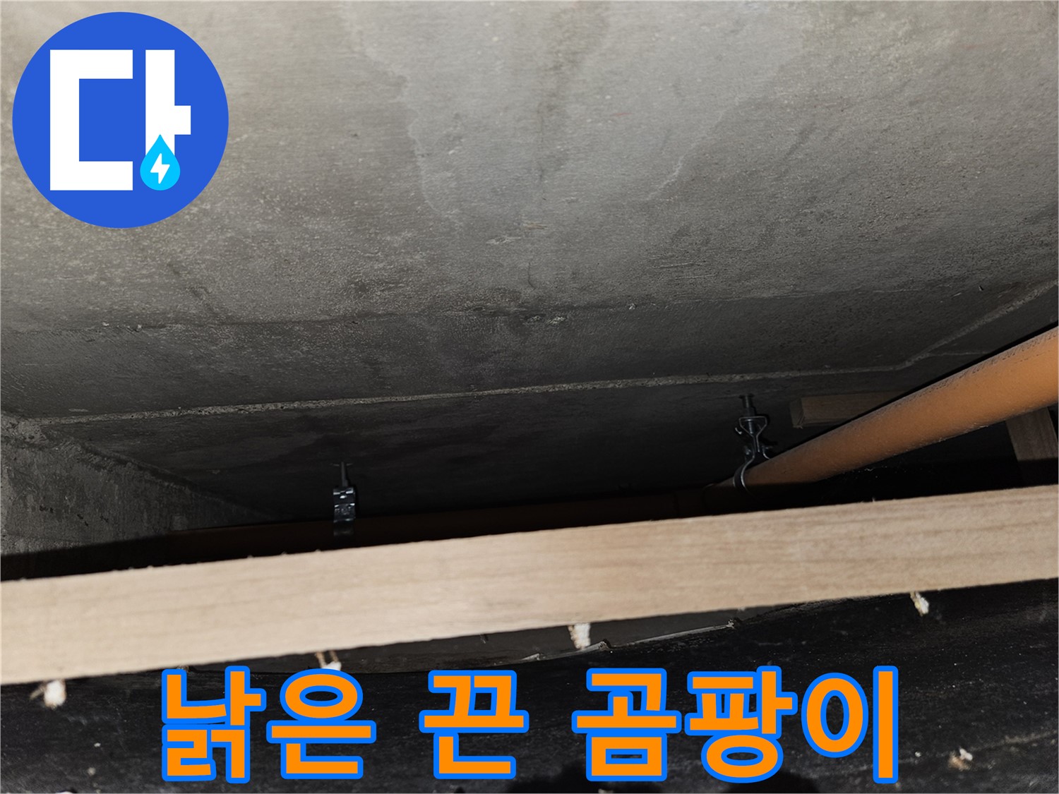 천장 배관 - 낡은 끈 지지 - 끊어짐, 곰팡이, 습기 문제