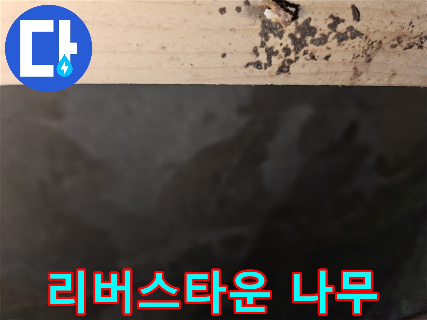 천호동 리버스타운 누수 - 나무 깊은 곳 점검 - 첨단 장비