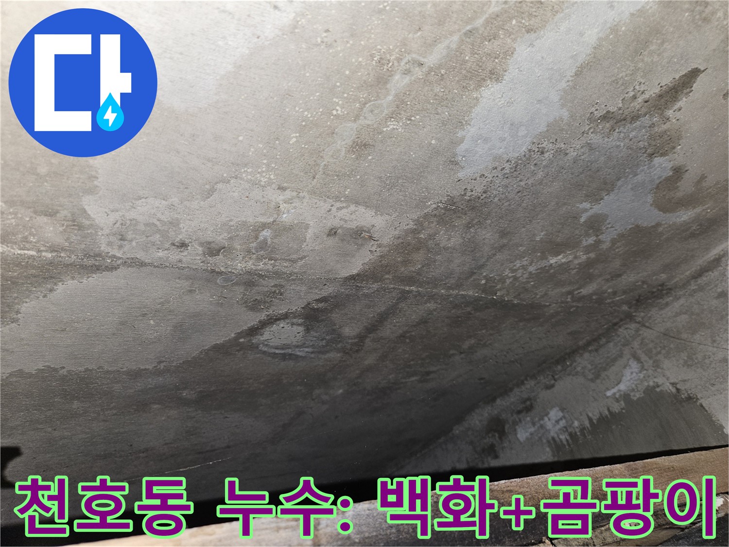 천호동 리버스타운 아파트 누수 - 백화와 곰팡이는 습한 환경과 누수