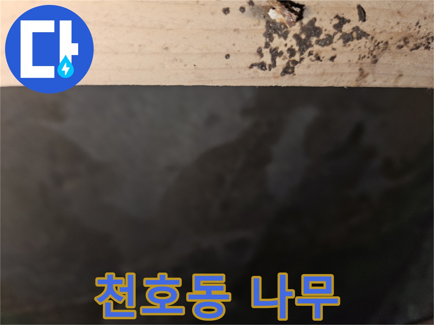 천호동 아파트 누수 - 나무 윗부분 곰팡이 차단 - 최고
