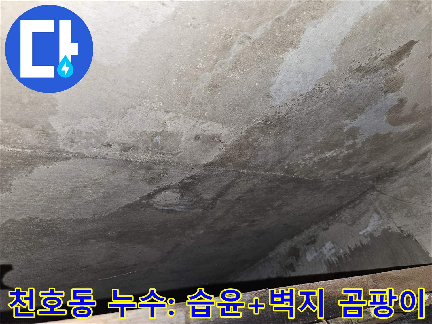 천호동 아파트 누수 - 습윤, 벽지 곰팡이는 건강 위협
