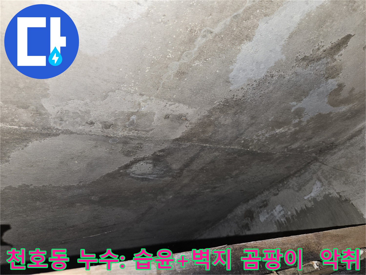 천호동 아파트 누수 - 습윤, 벽지 곰팡이는 건강 위협