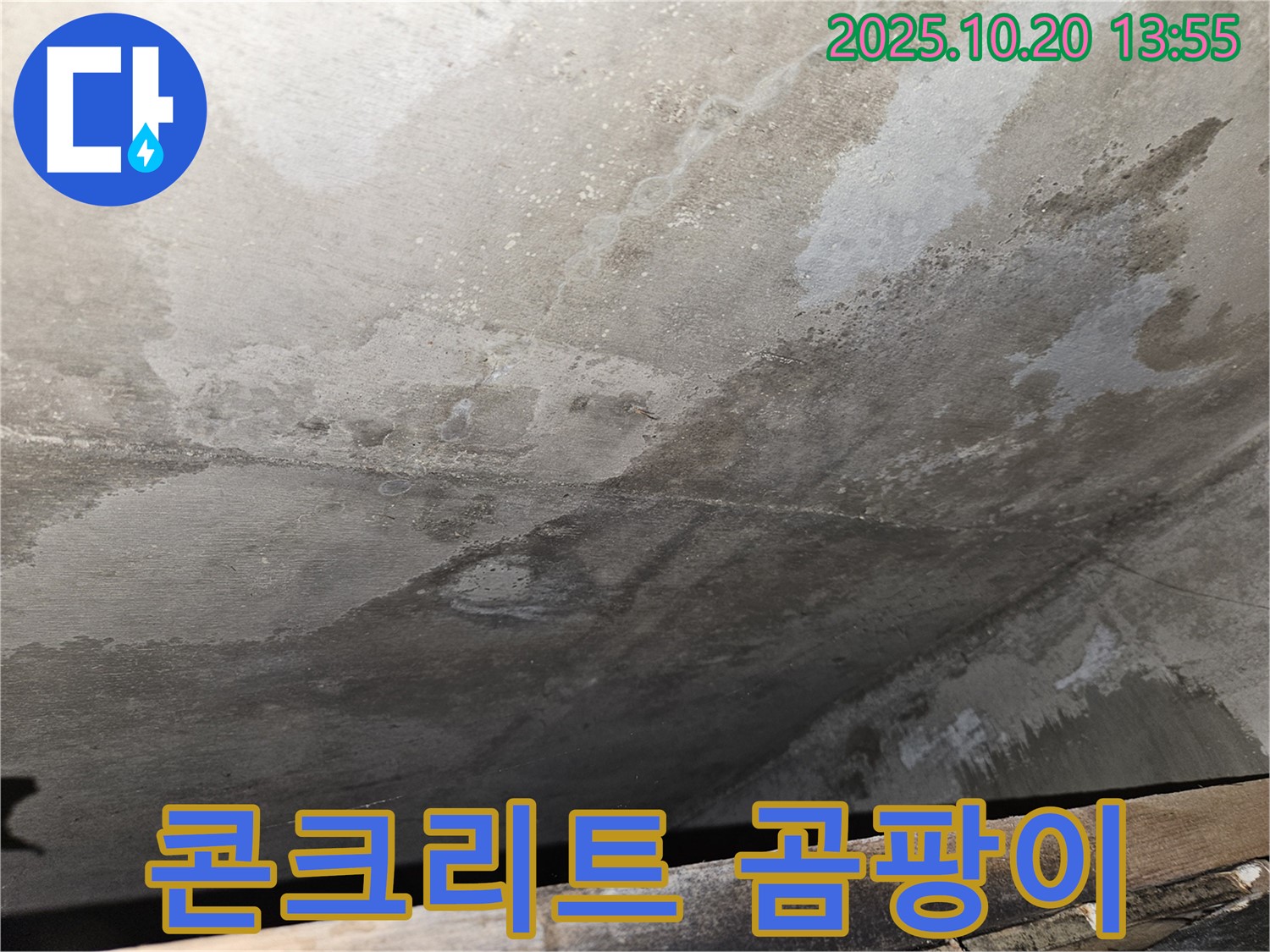 천호동 아파트 콘크리트 누수 - 콘크리트 표면에 곰팡이가 발생하기 시작한 초기 모습 이미지