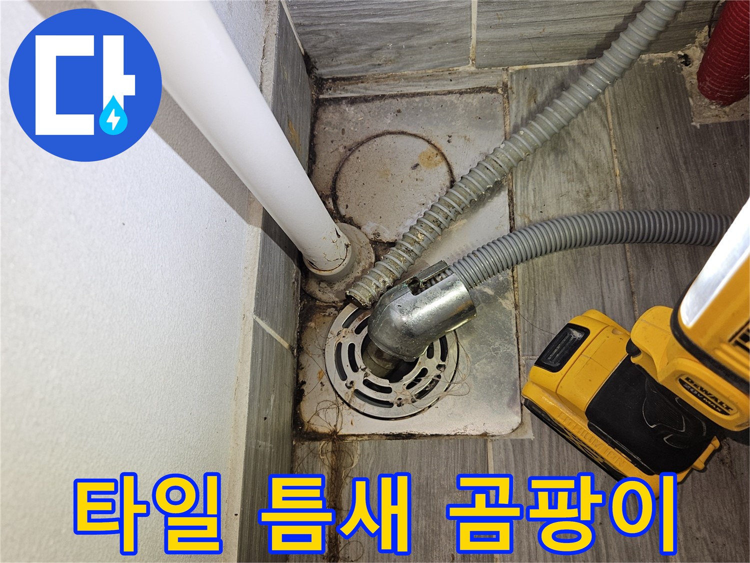 하수구 주변 타일 틈새 곰팡이 발생 - 청소 필요