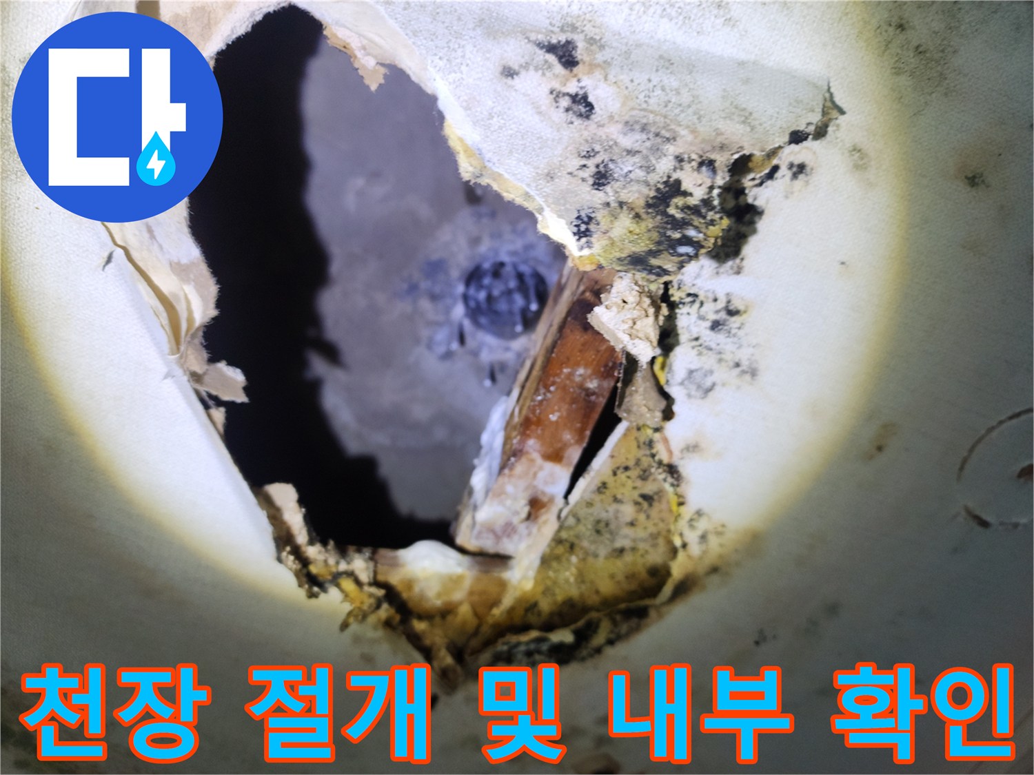 물샘으로 인한 오염-천장 내부의 곰<0xAE>팡이와 변색된 부위