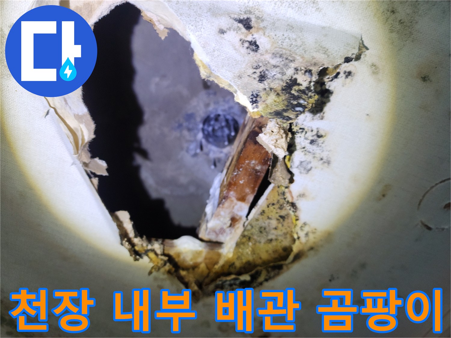 배관 주변의 곰팡이와 습기로 오염된 천장 내부